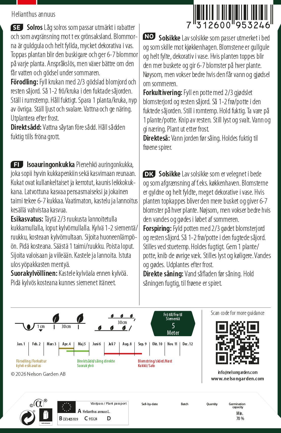 Solsikke 2