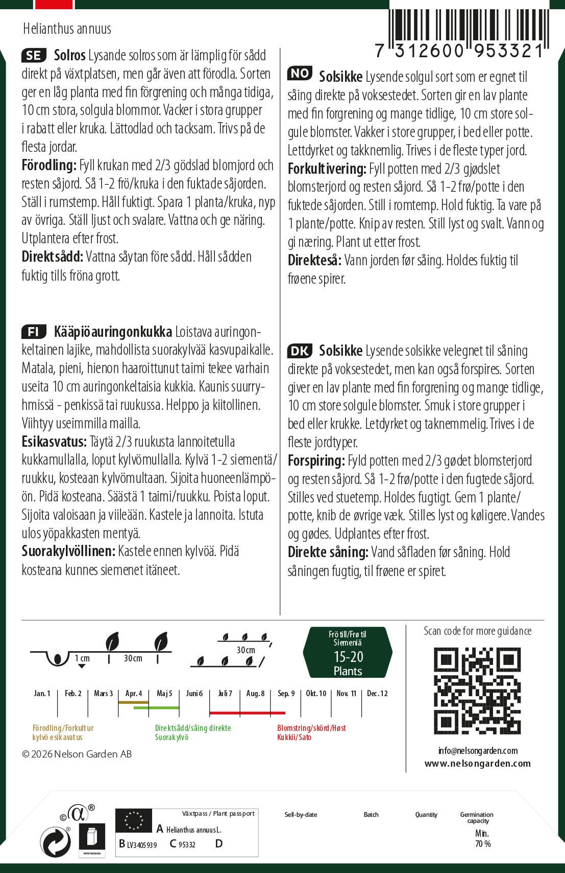 Kääpiöauringonkukka 2
