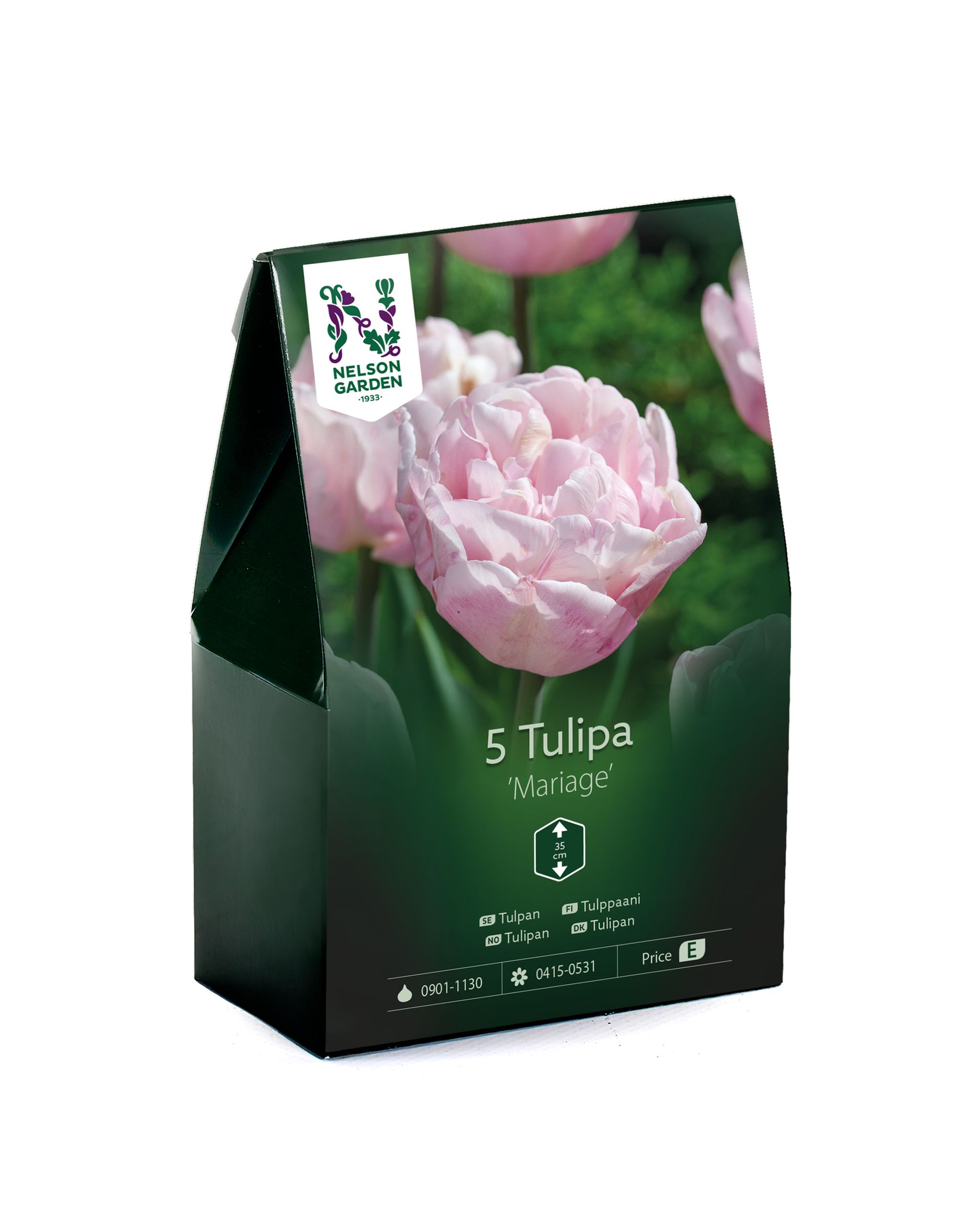 Tulppaani, myöhäinen, aikainen