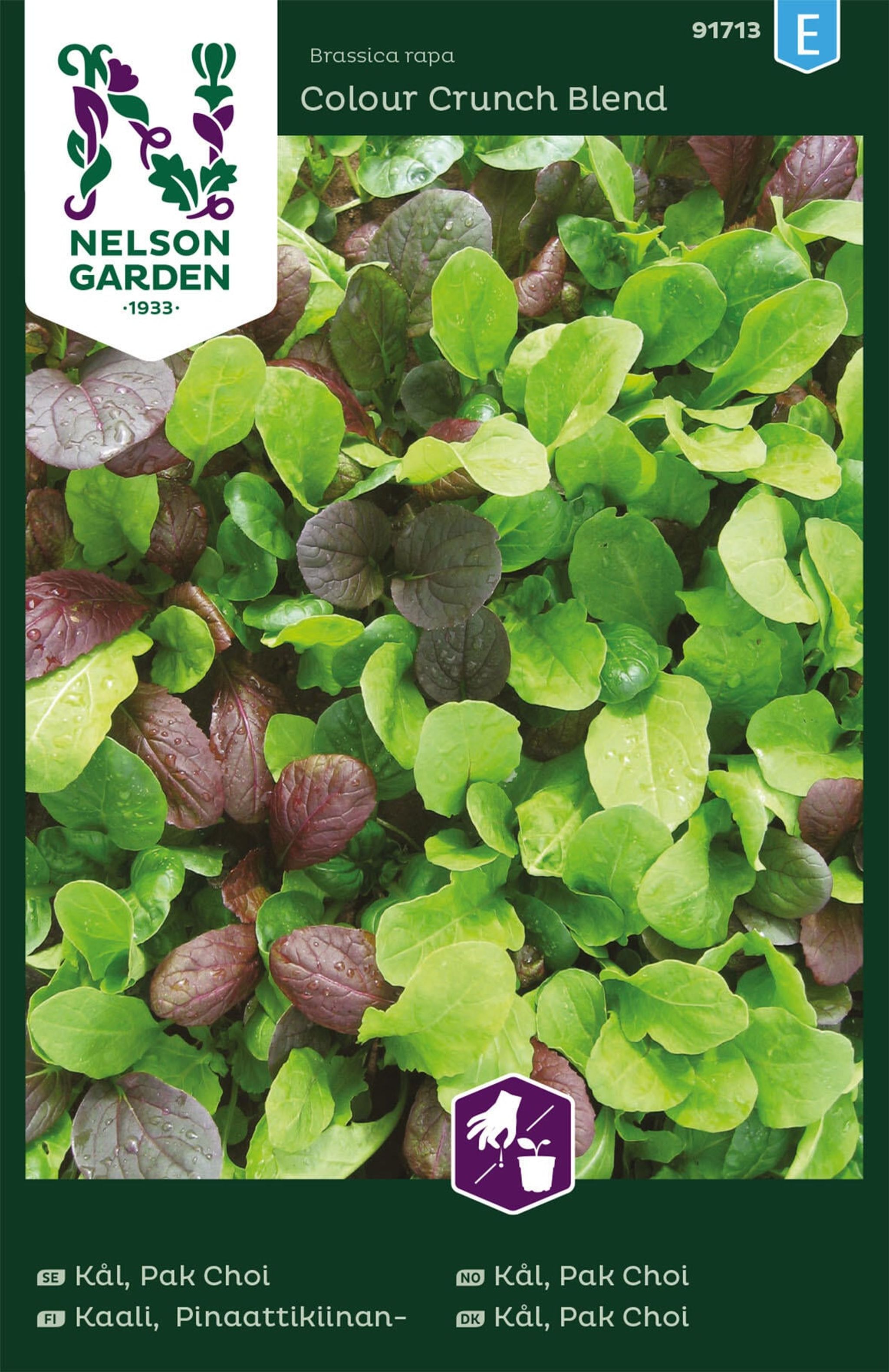 Kål, Pak Choi
