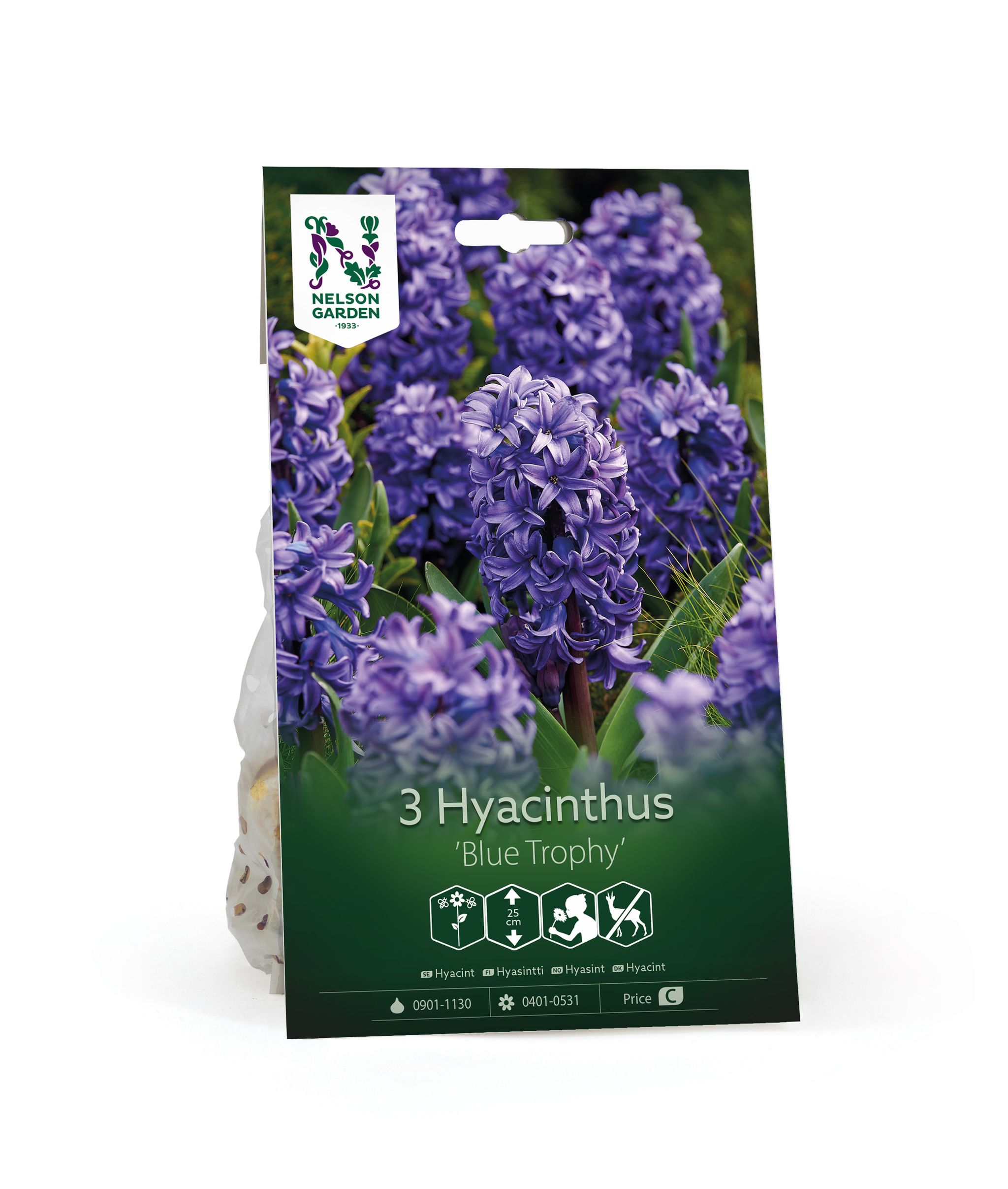Hyasintti