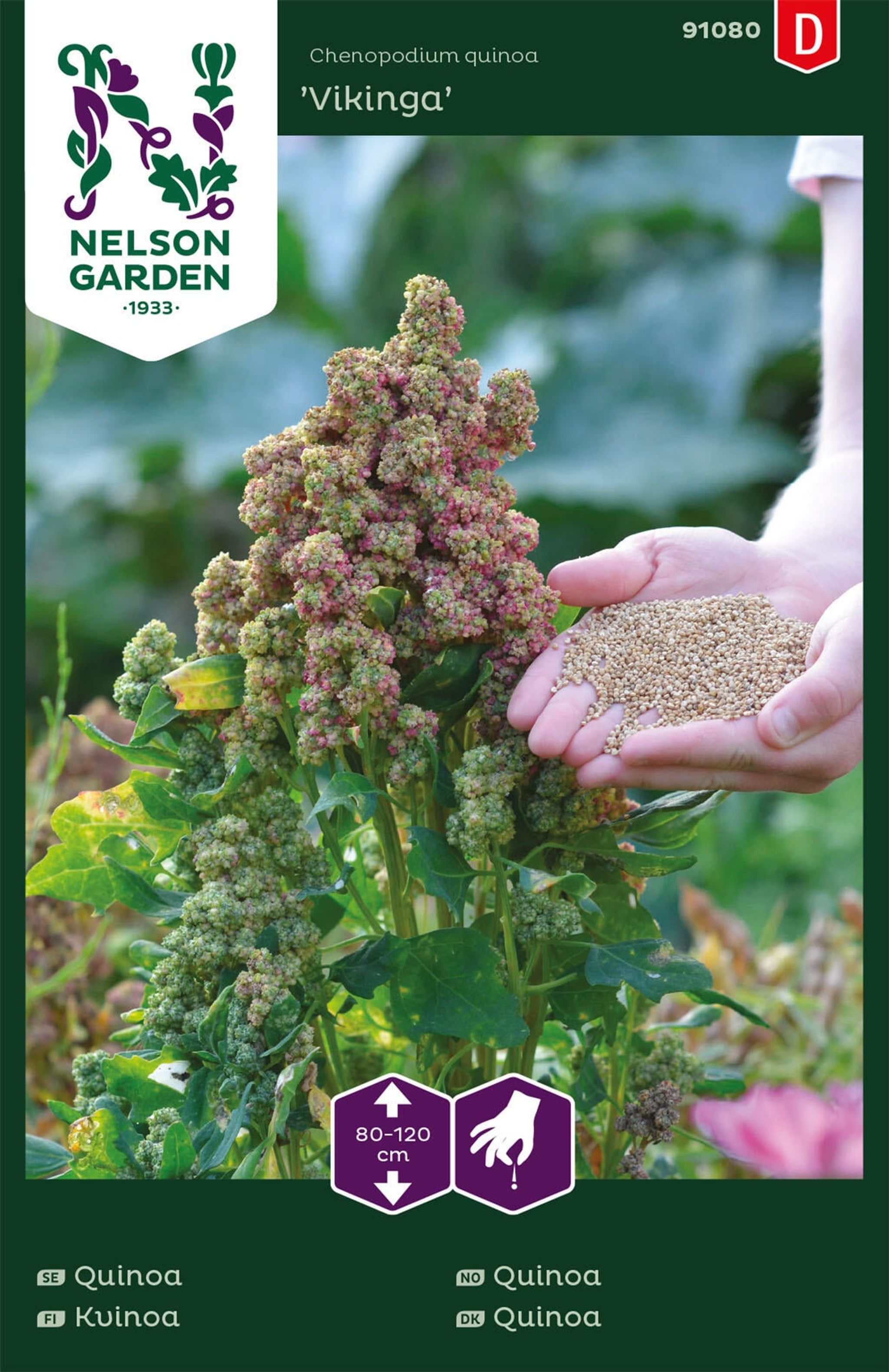 Quinoa