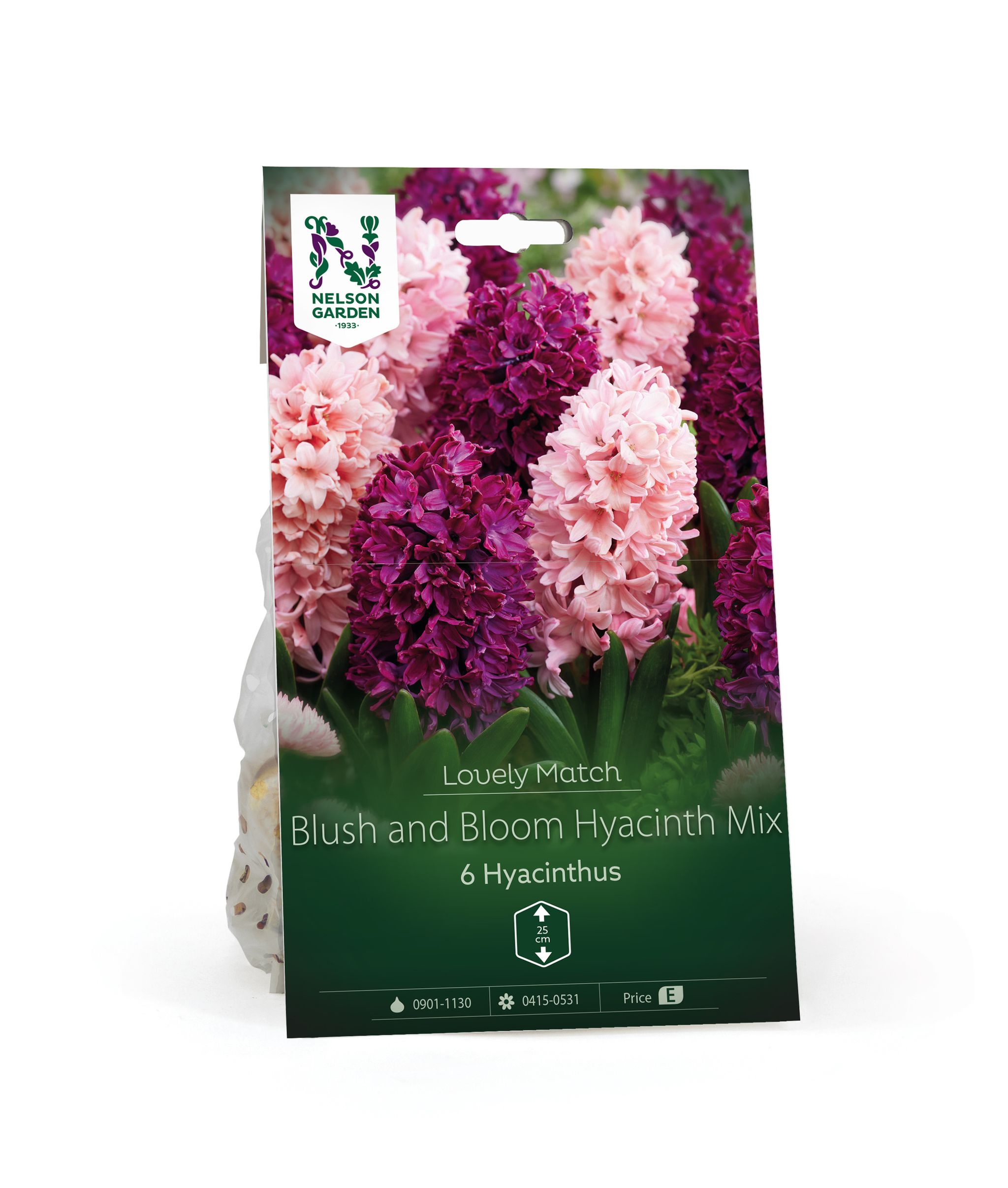 Hyasintti
