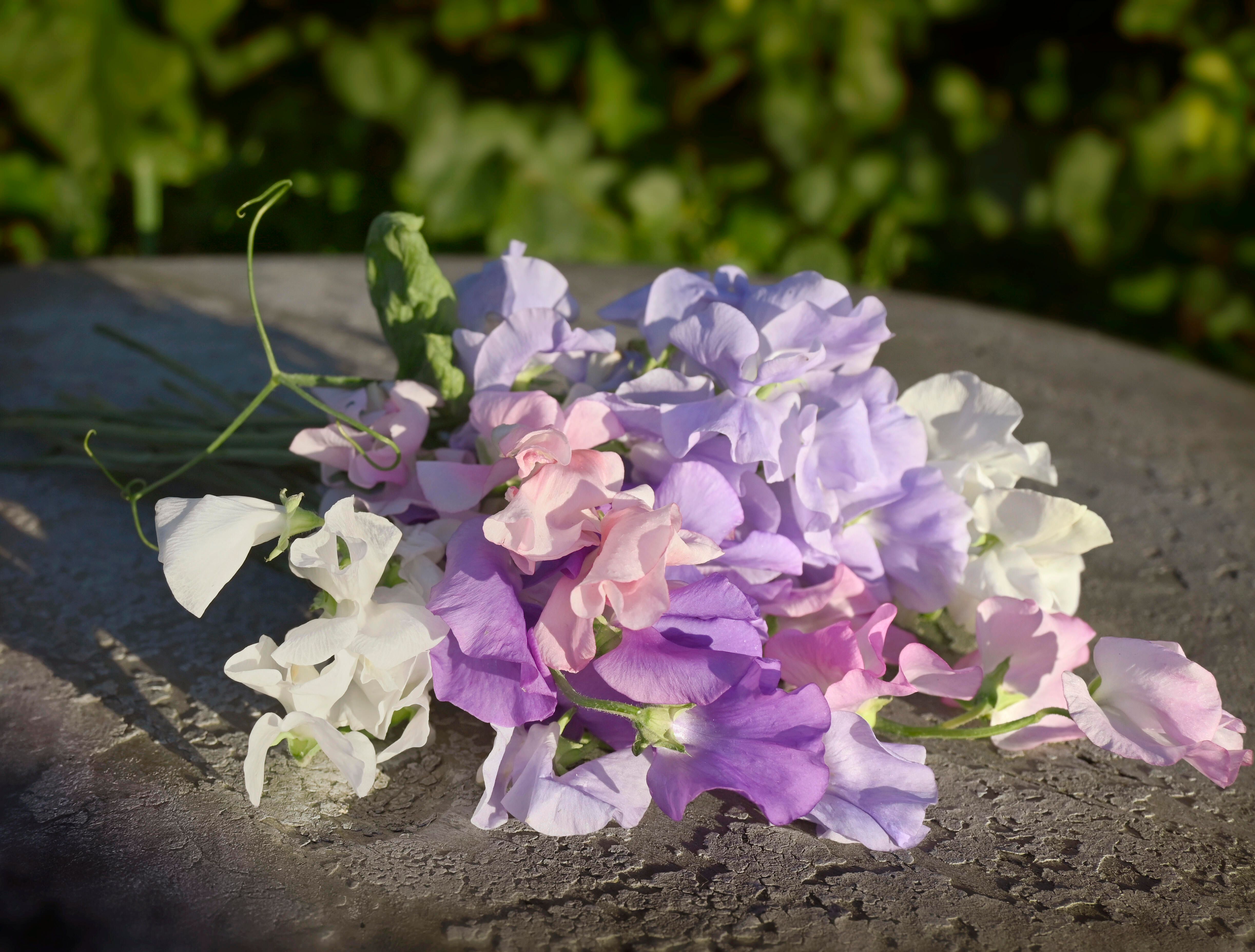 Blomsterert 1