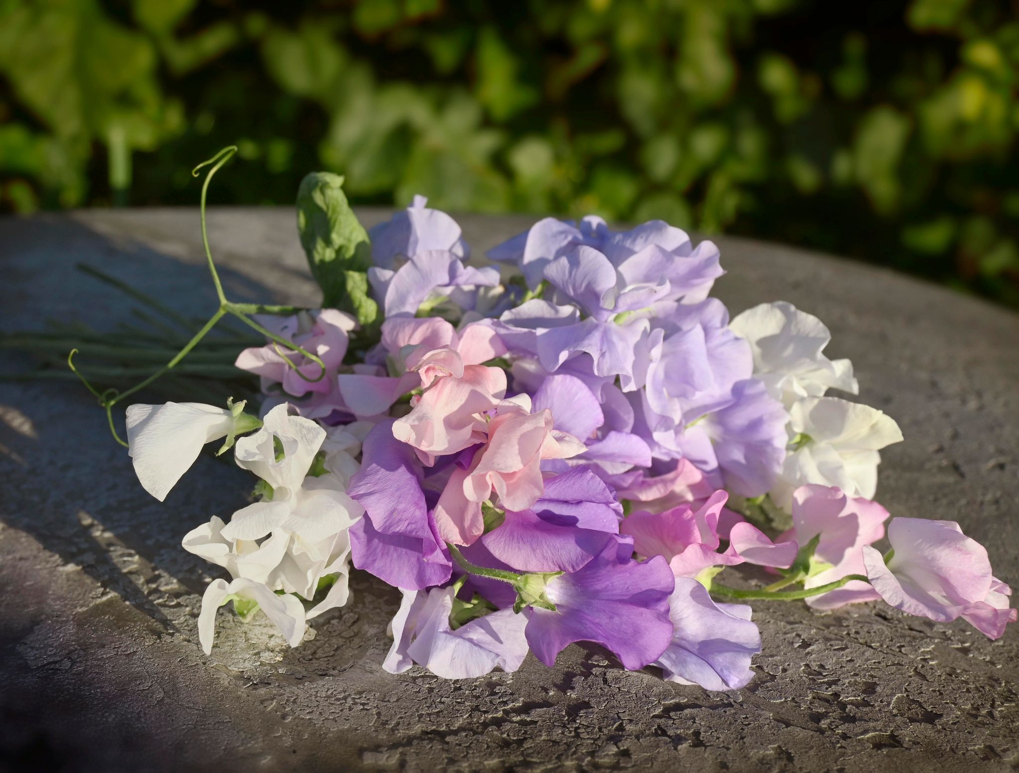 Blomsterert