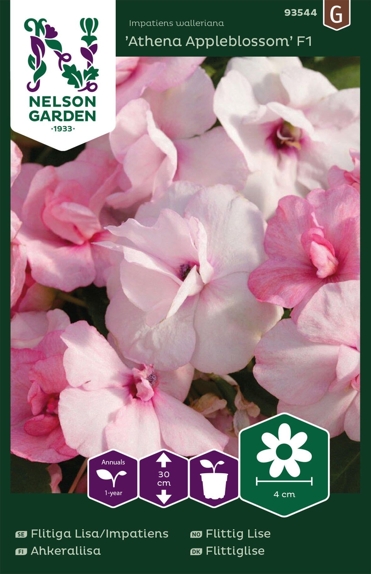 Flitiga Lisa/Impatiens 2
