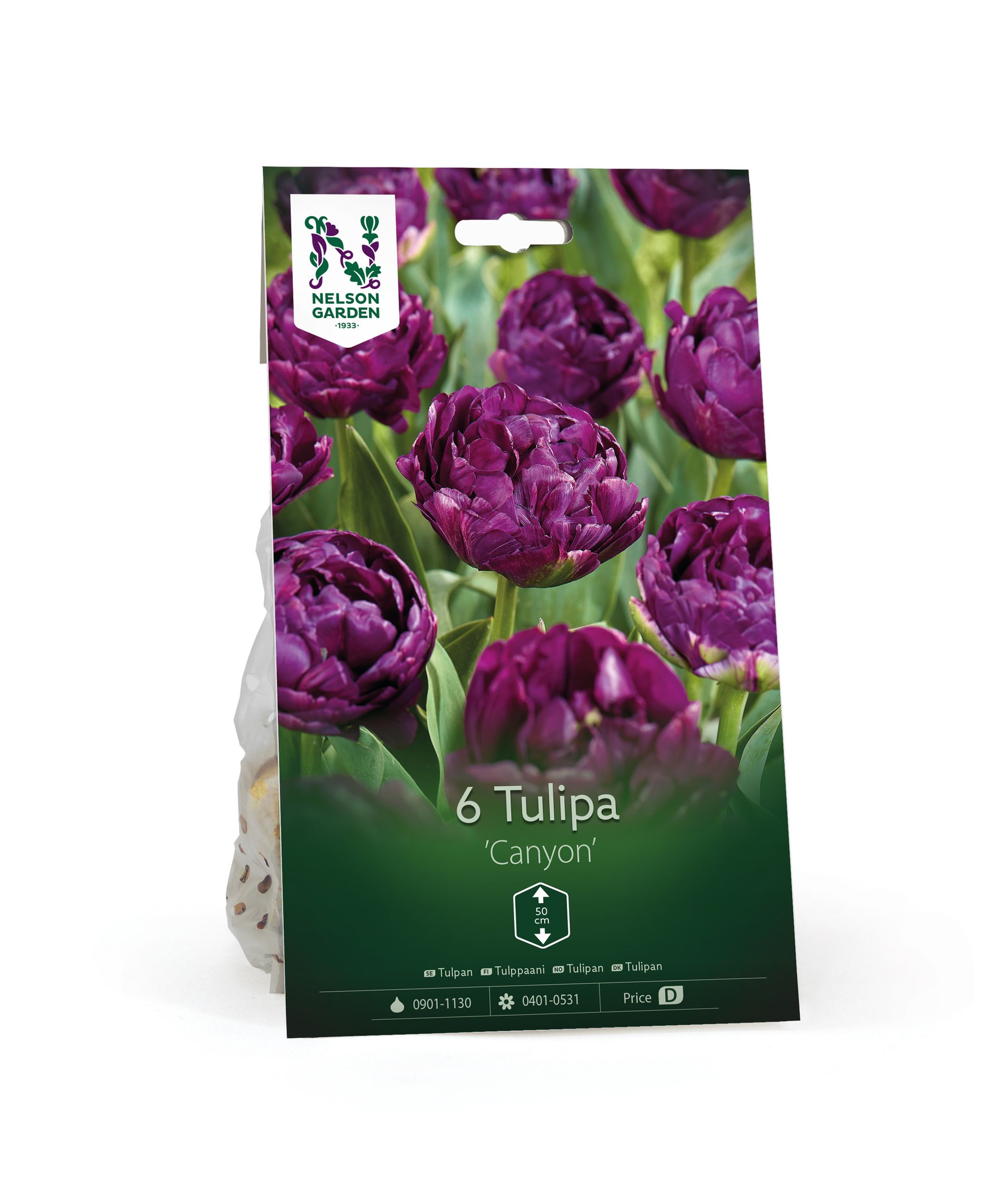 Tulppaani, myöhäinen, aikainen