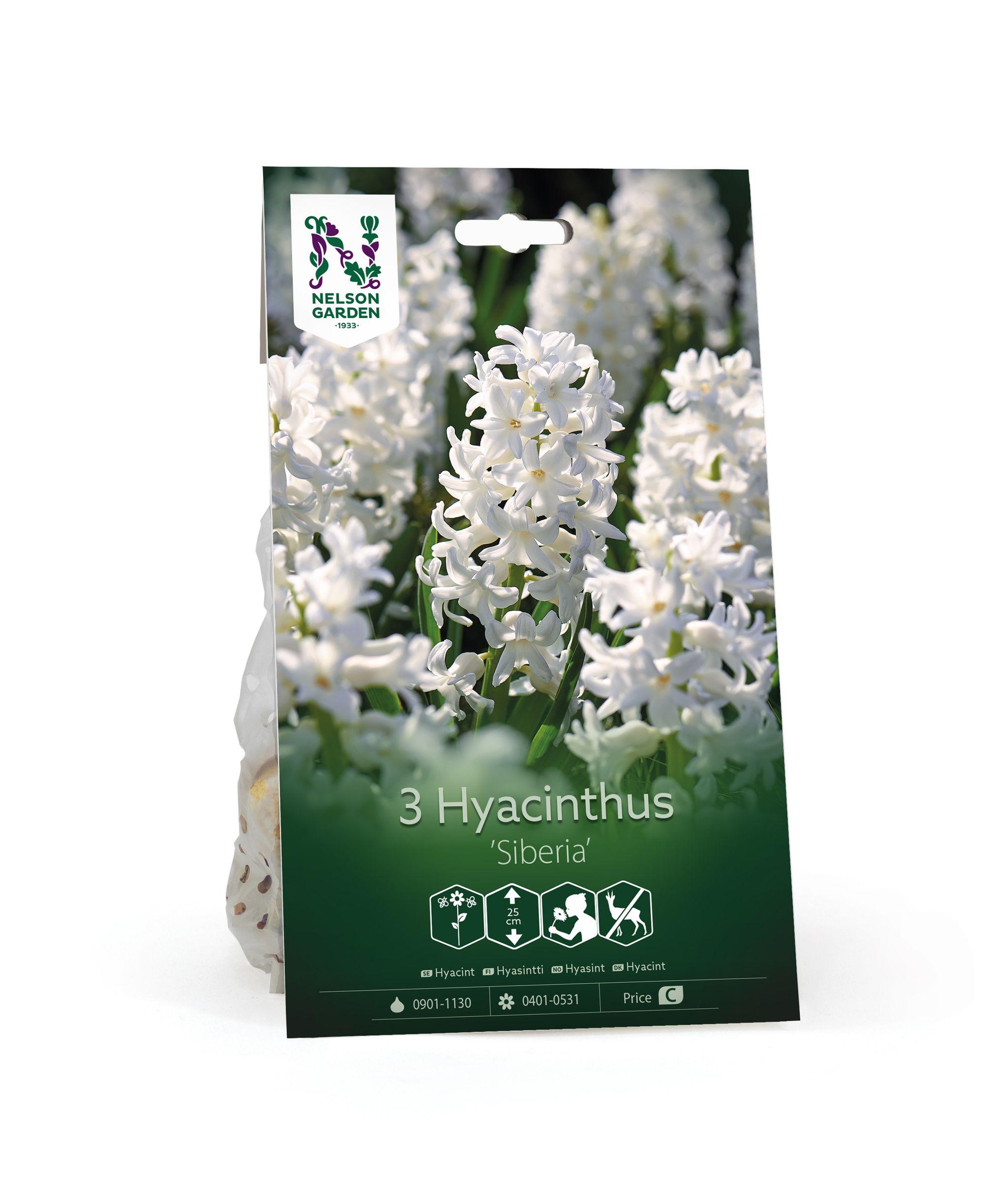 Hyasintti