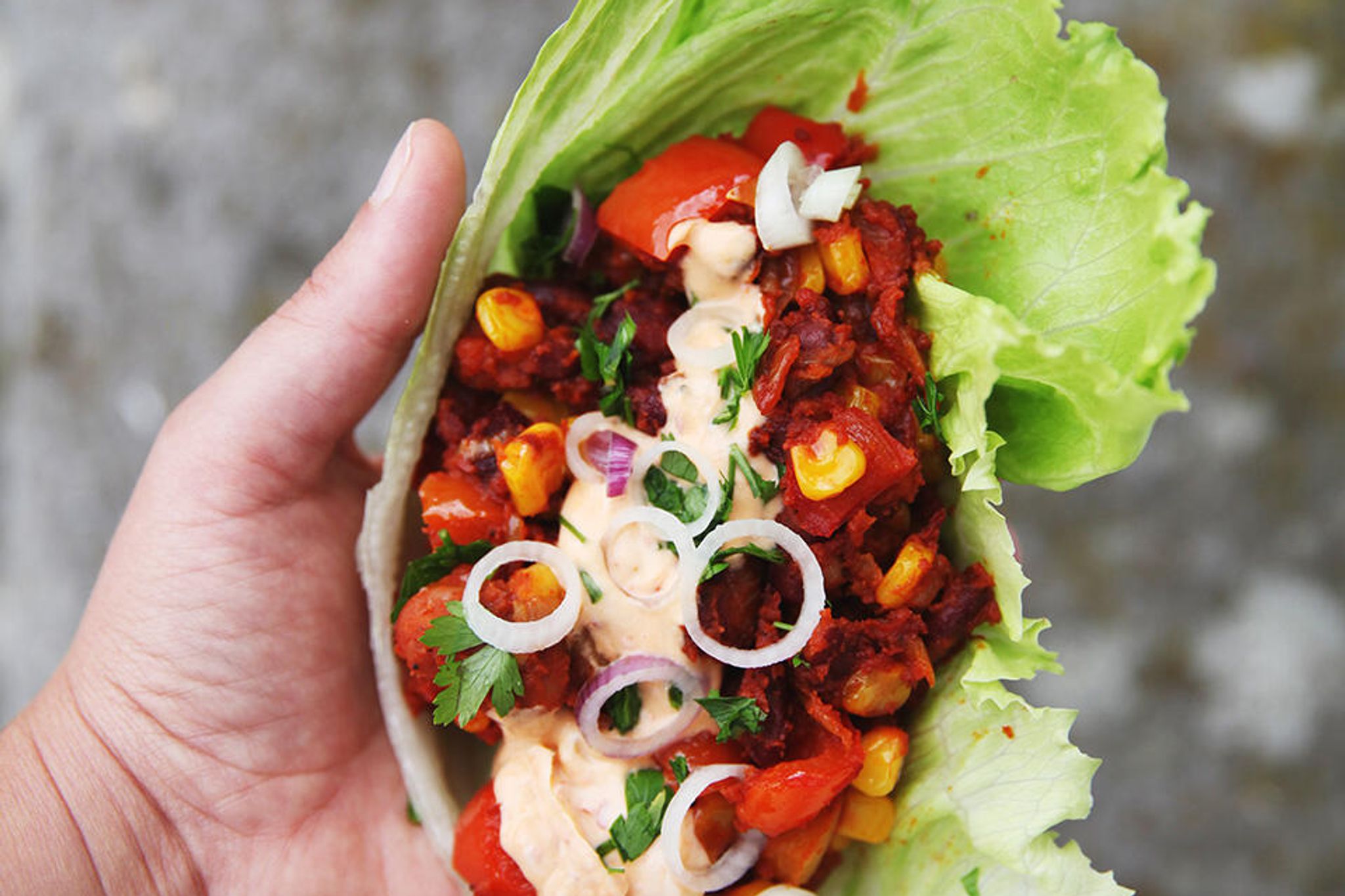 Taco i isbergskål