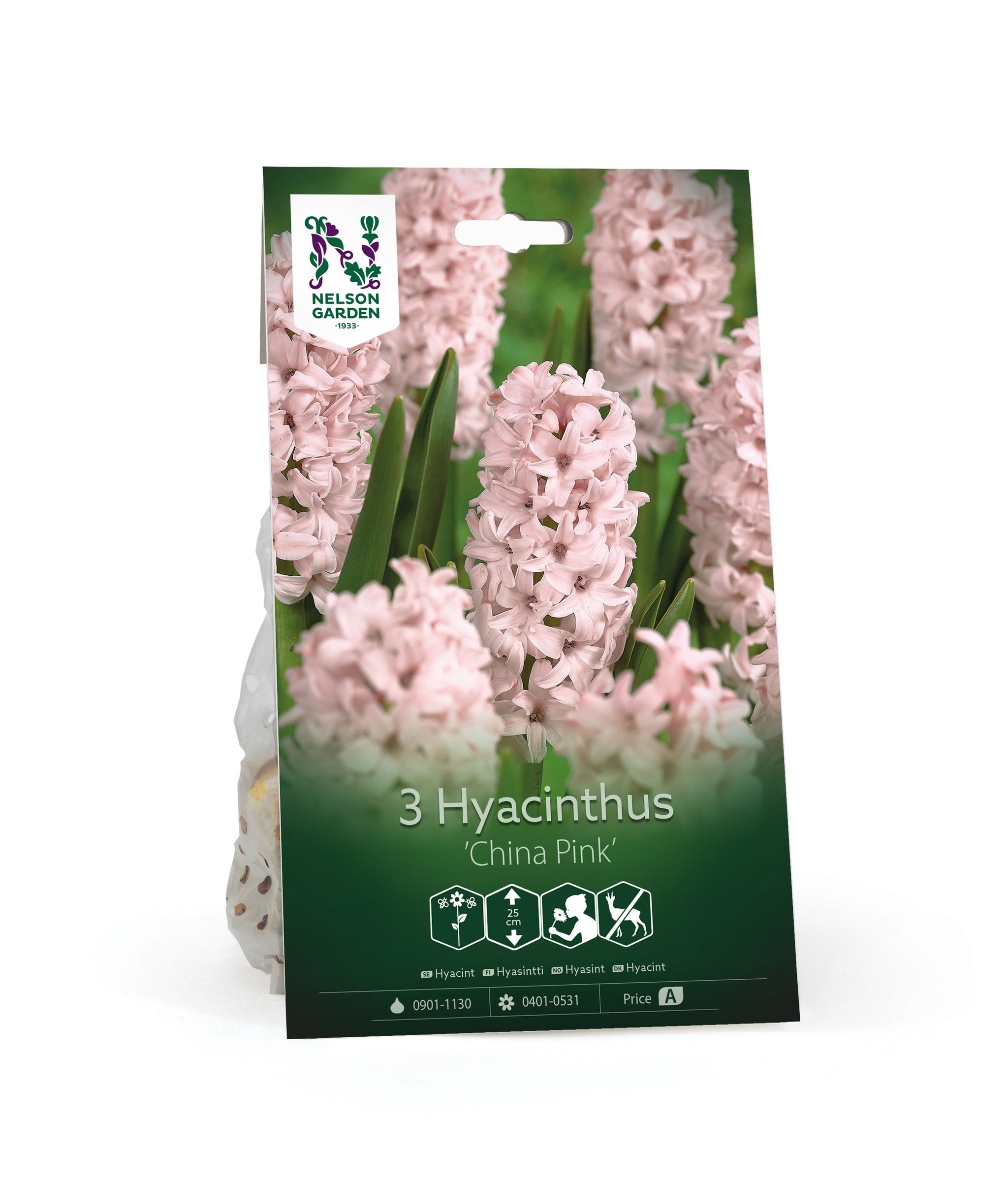 Hyasintti