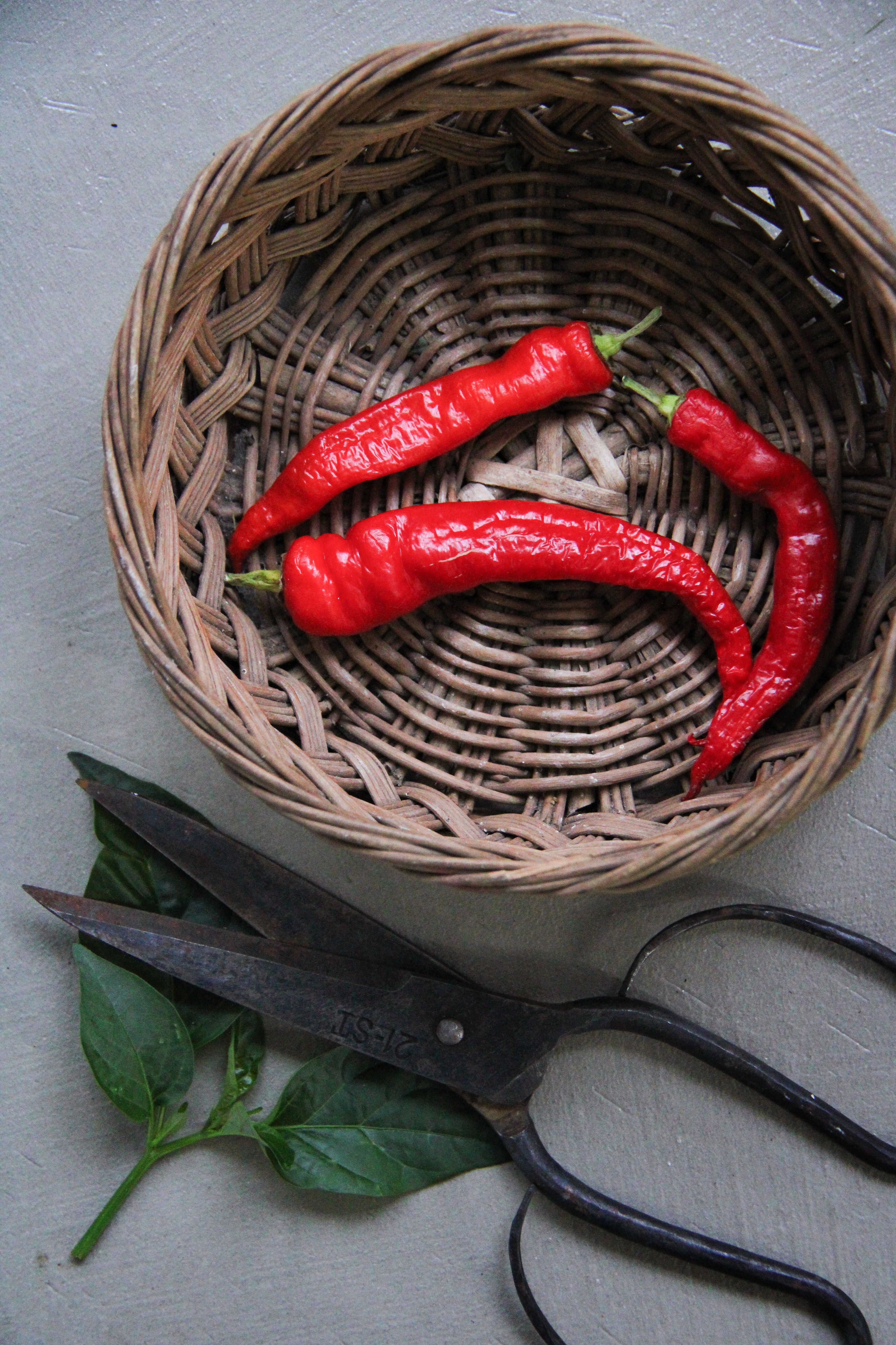 Chilipeber 2