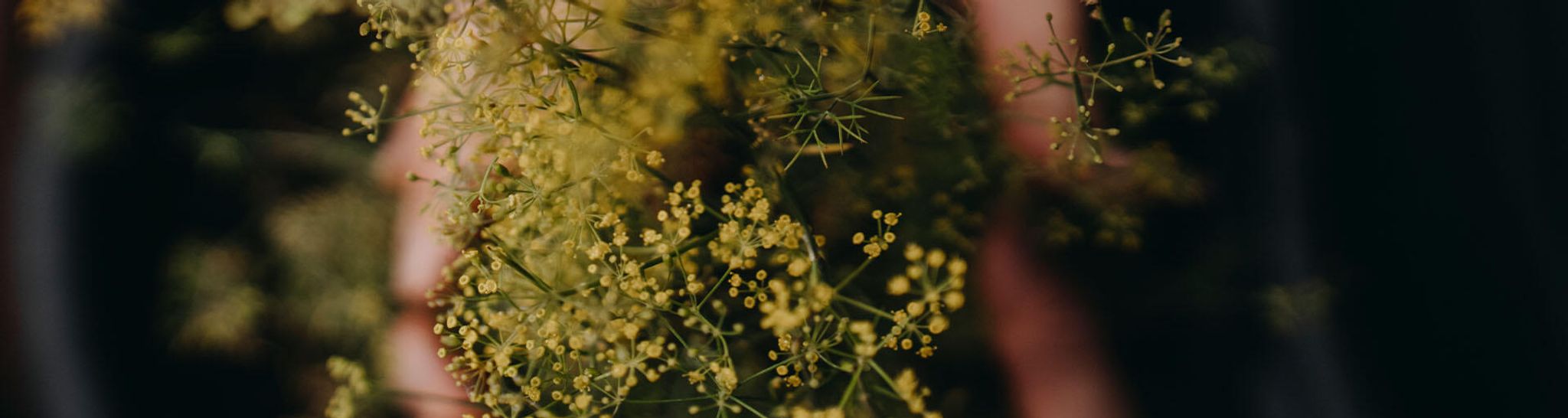 Tilli