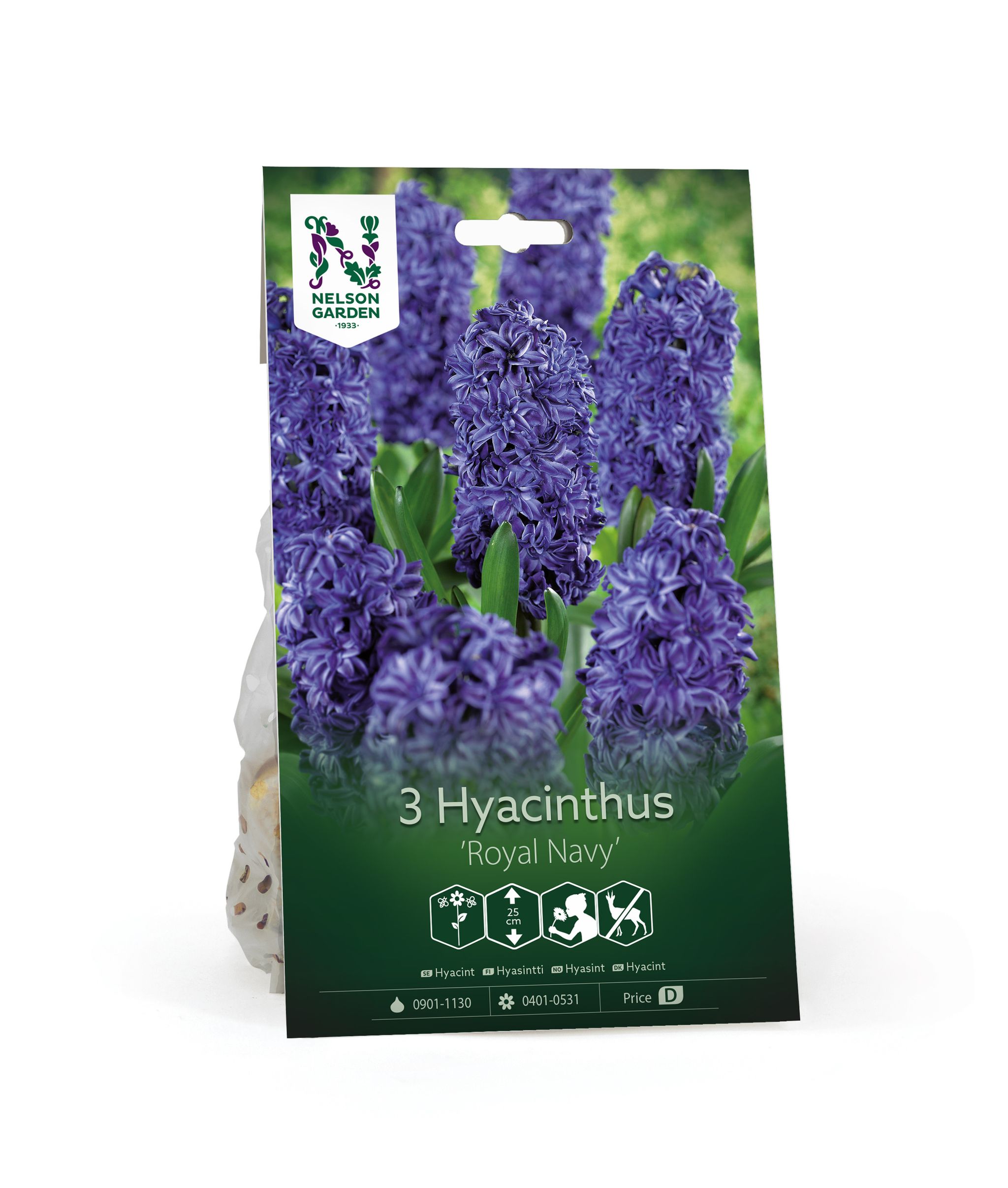 Hyasintti