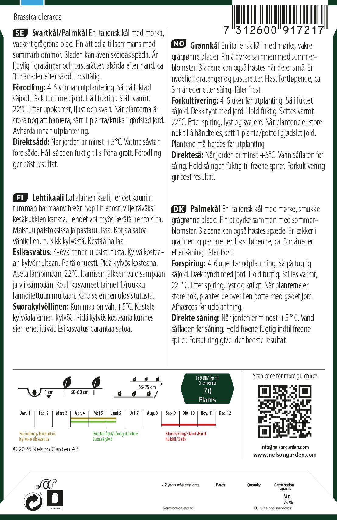 Grønnkål 2