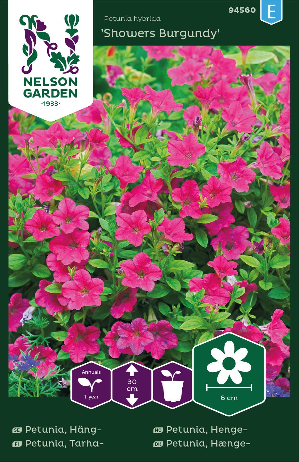 Hængepetunia 1