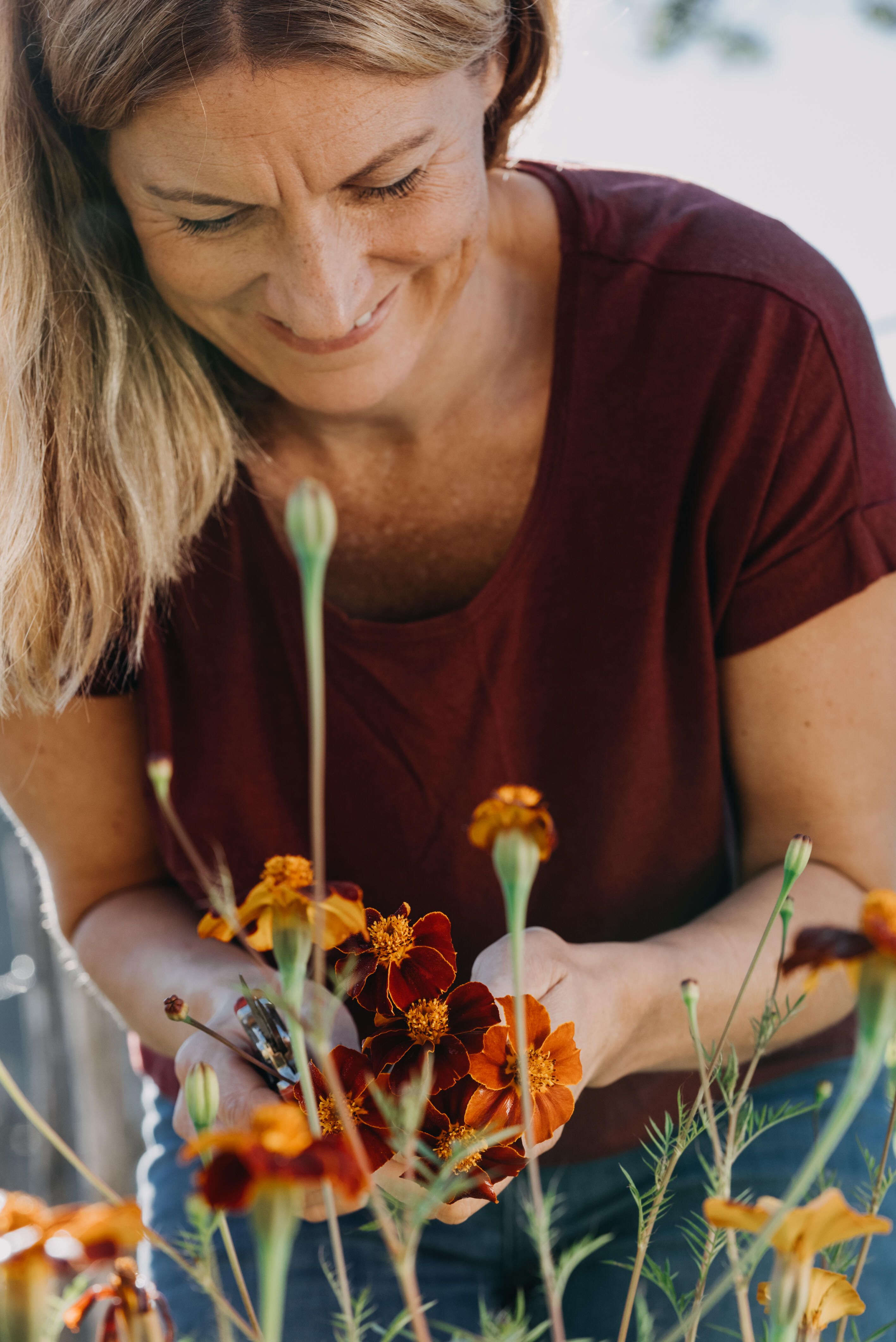 Udspærret fløjlsblomst 2