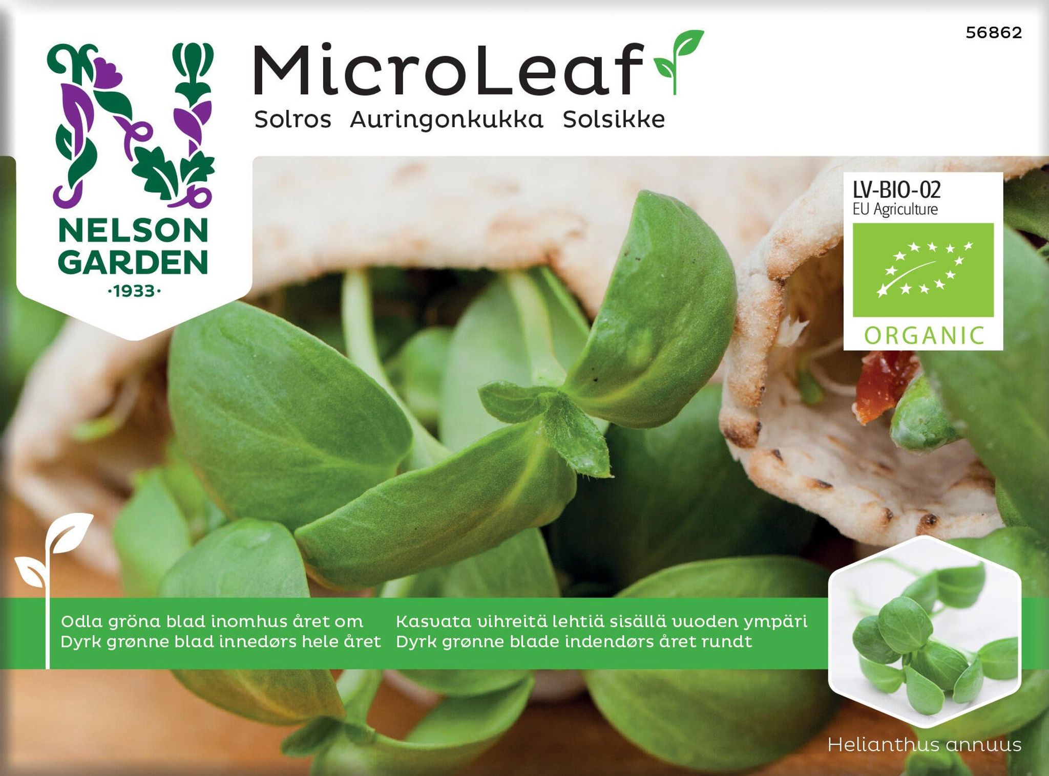 Micro Leaf, solsikke