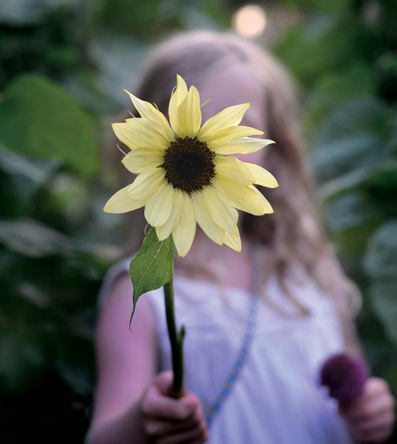 Finn favorittblomstene dine