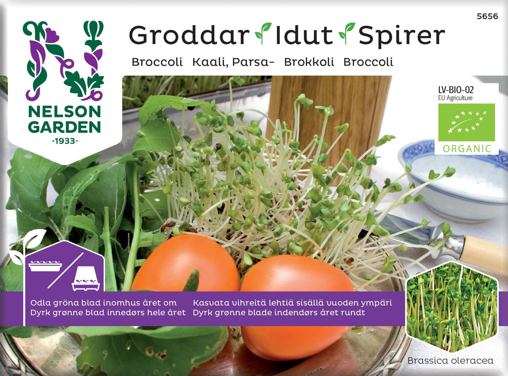 Spirer, broccoli