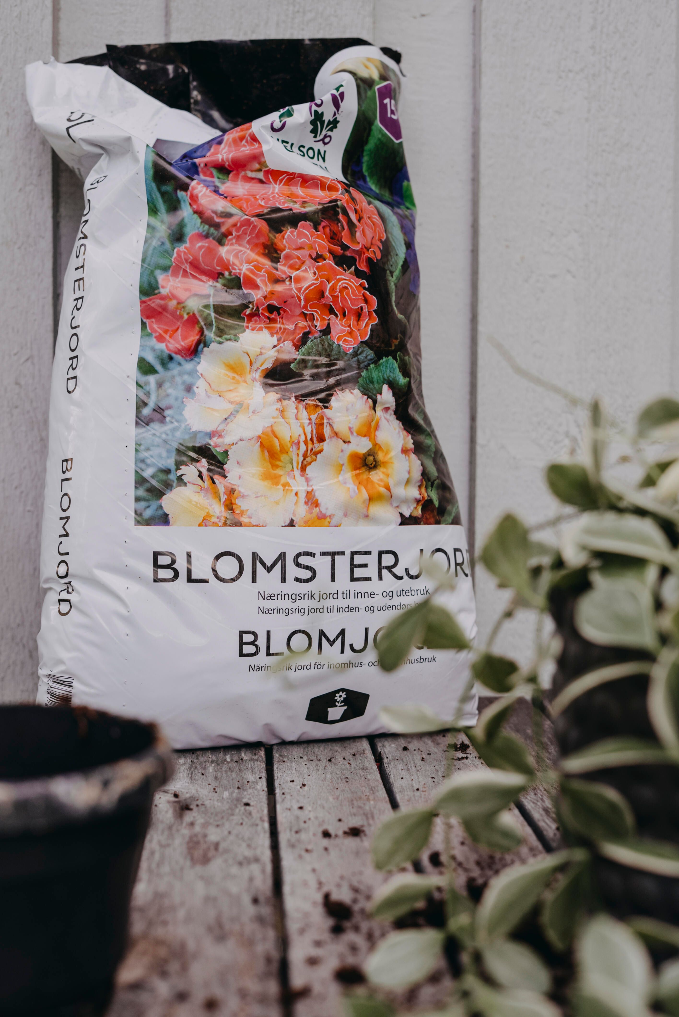Blomsterjord 2