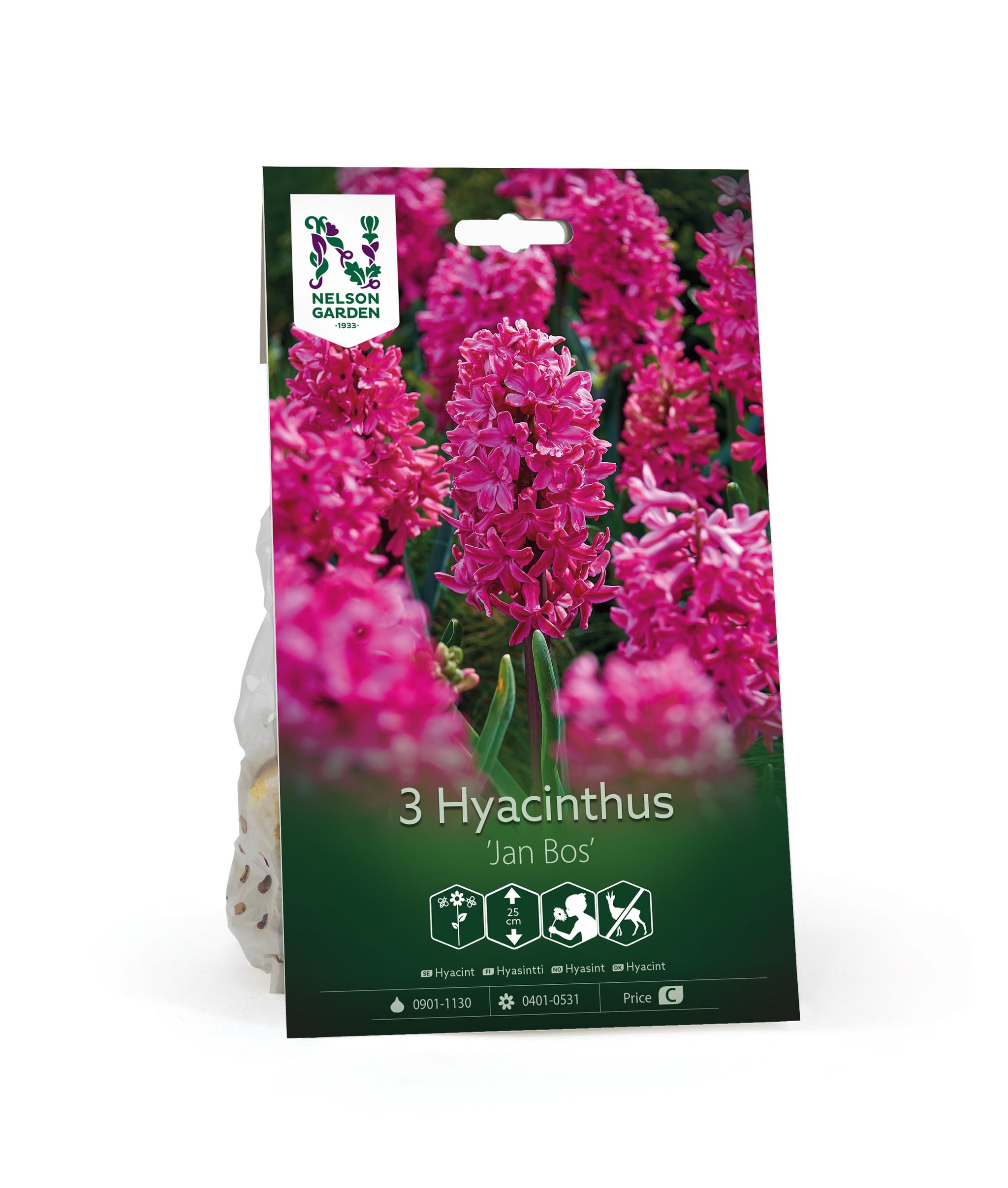 Hyasintti