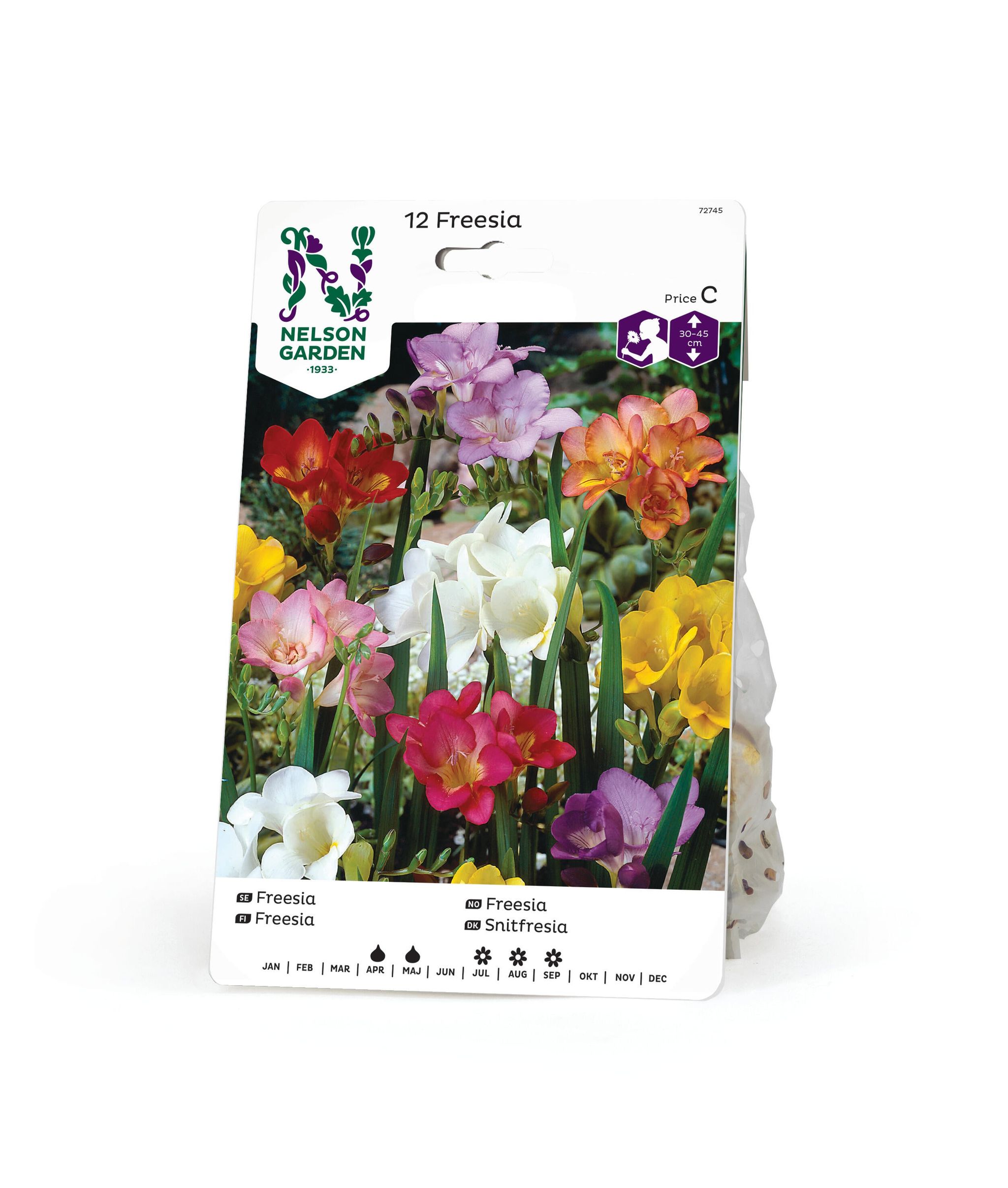 Freesia, enkel