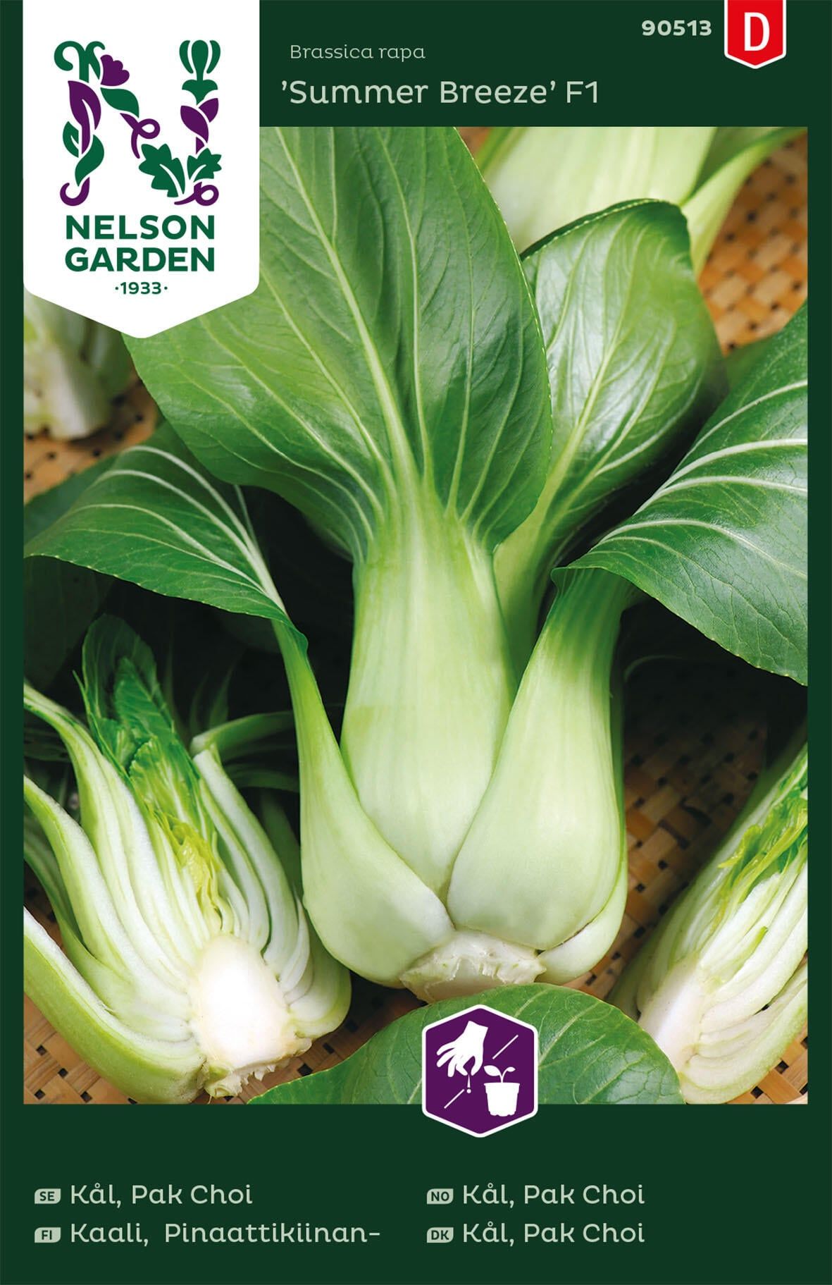 Kål, Pak Choi 2