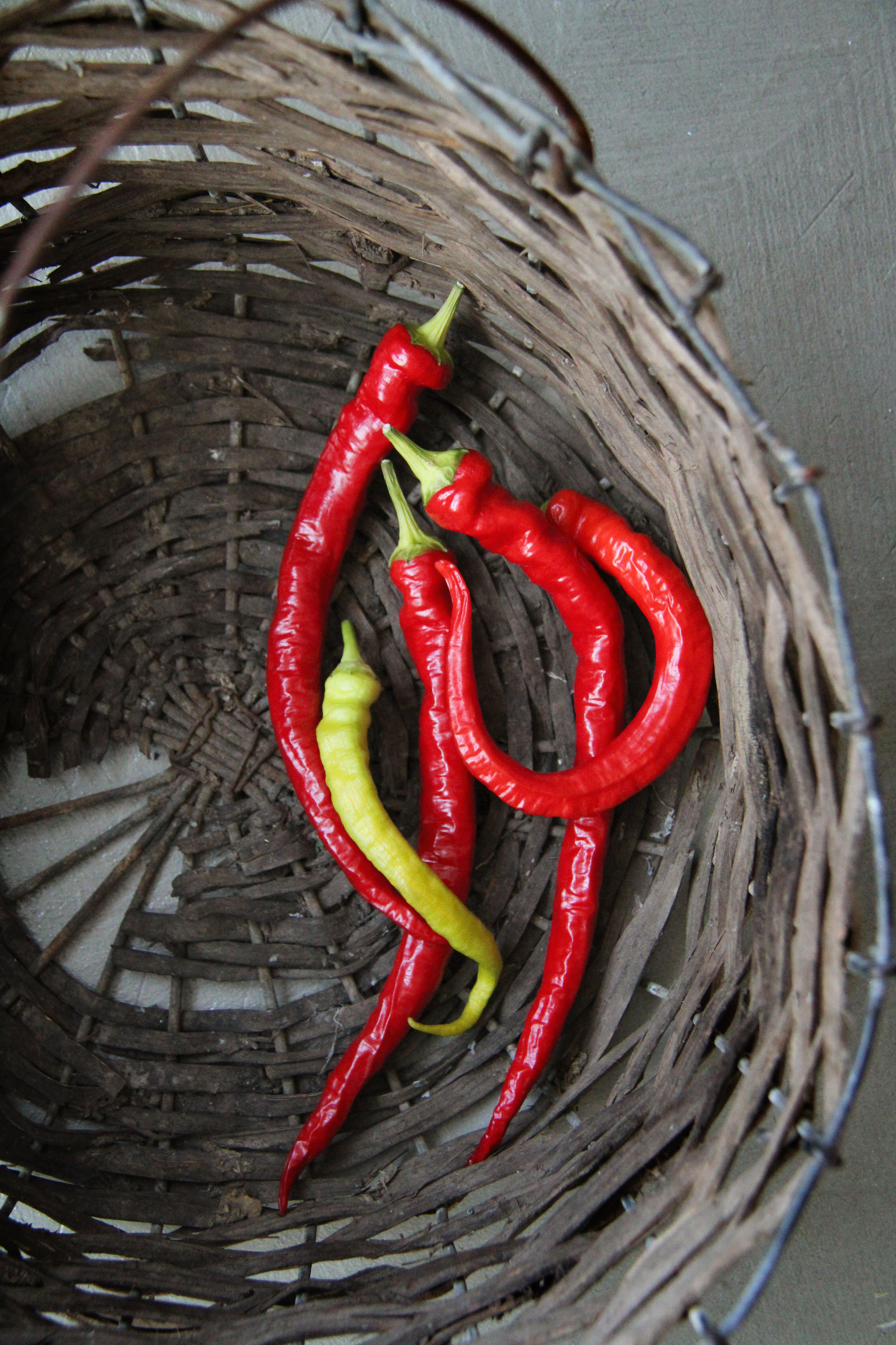 Paprika 1