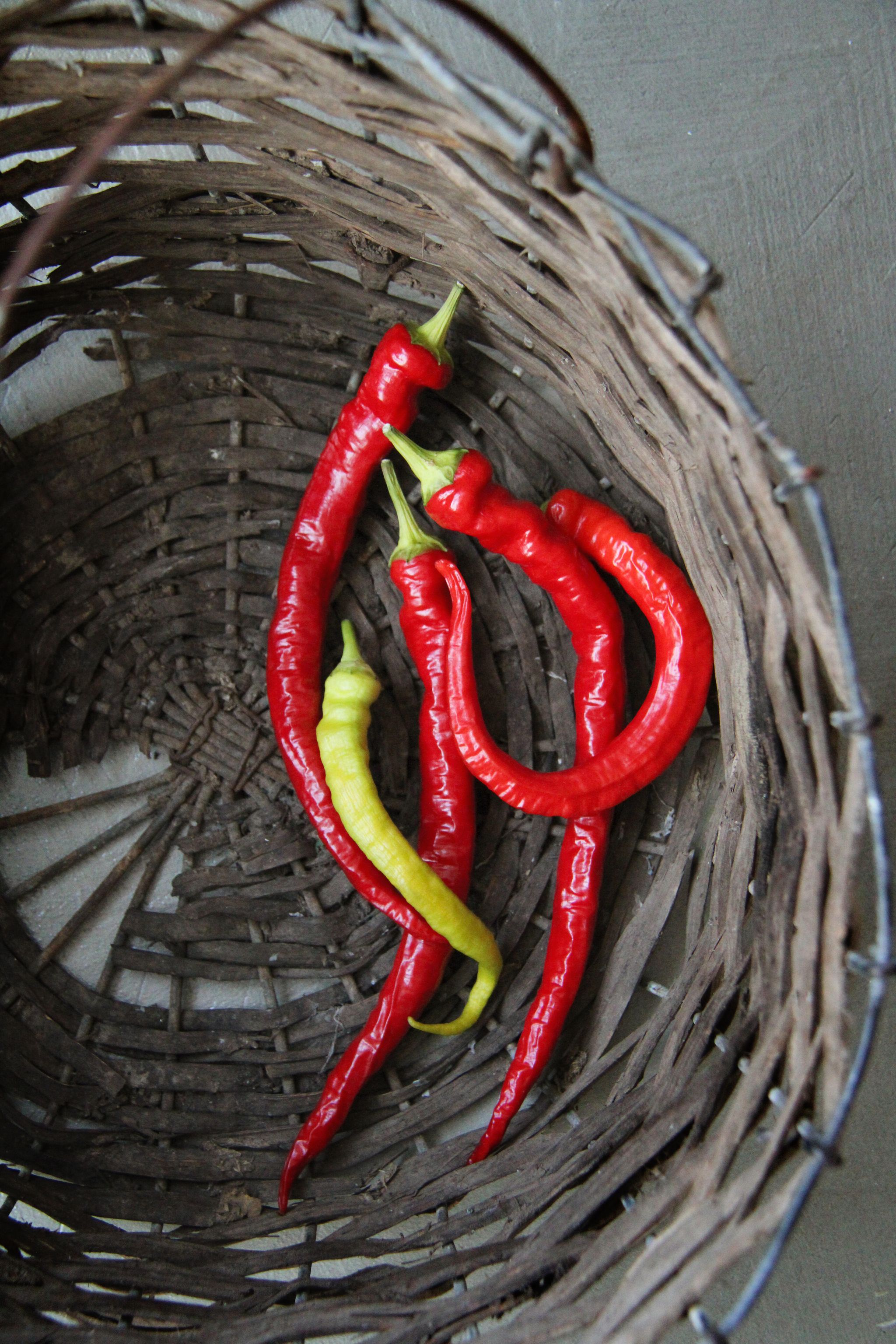 Paprika