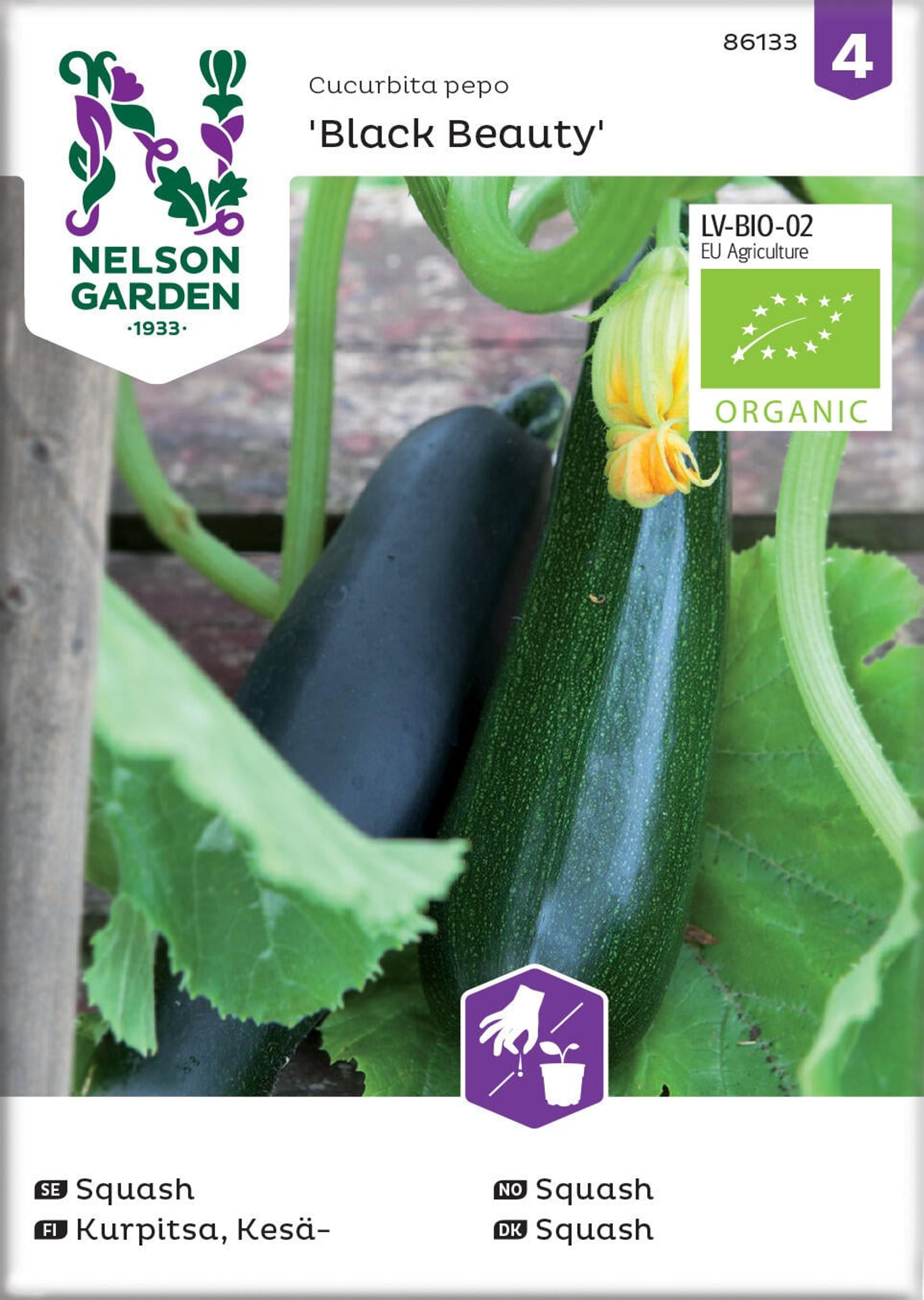 Squash