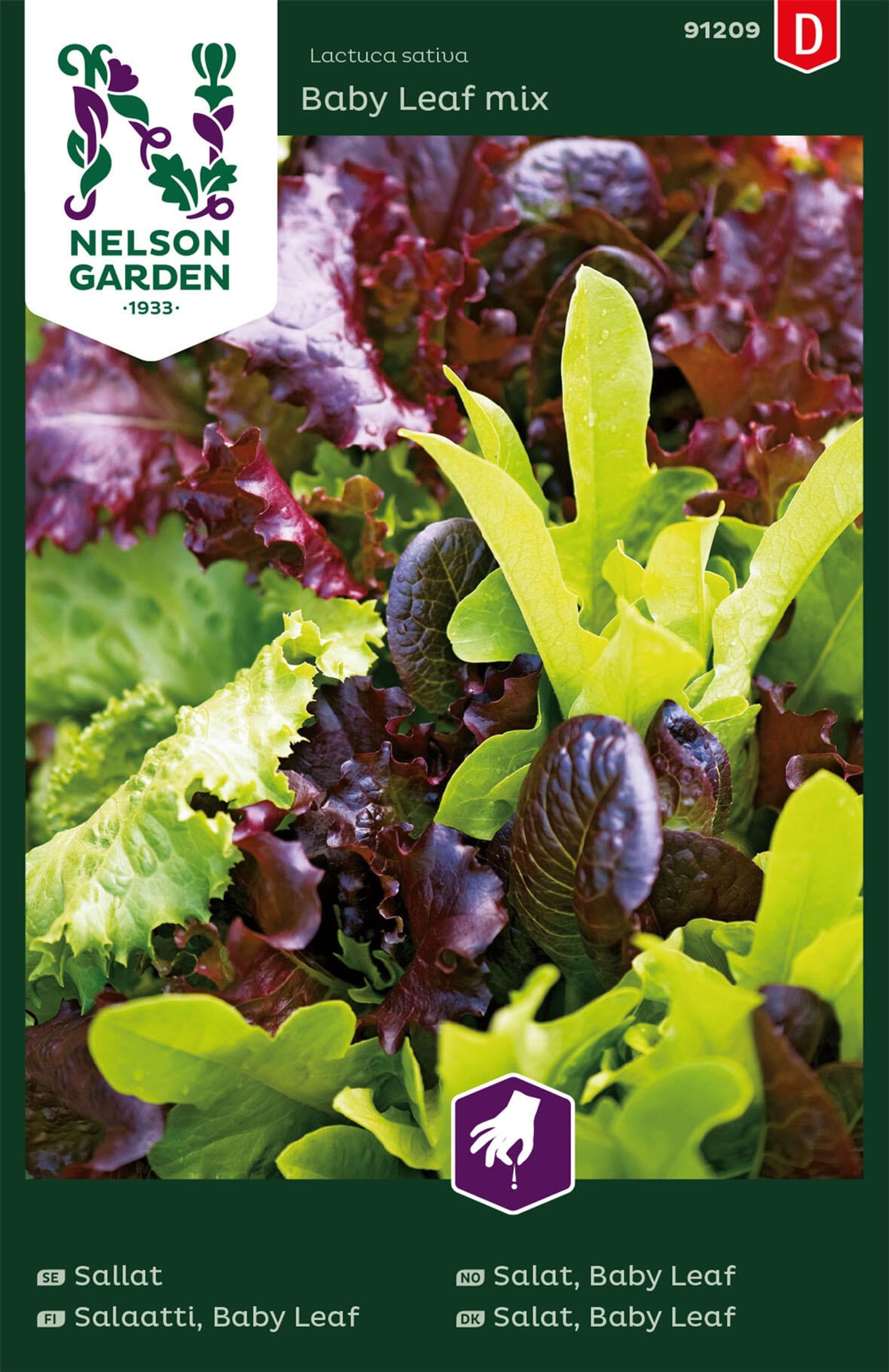 Salat, Baby Leaf