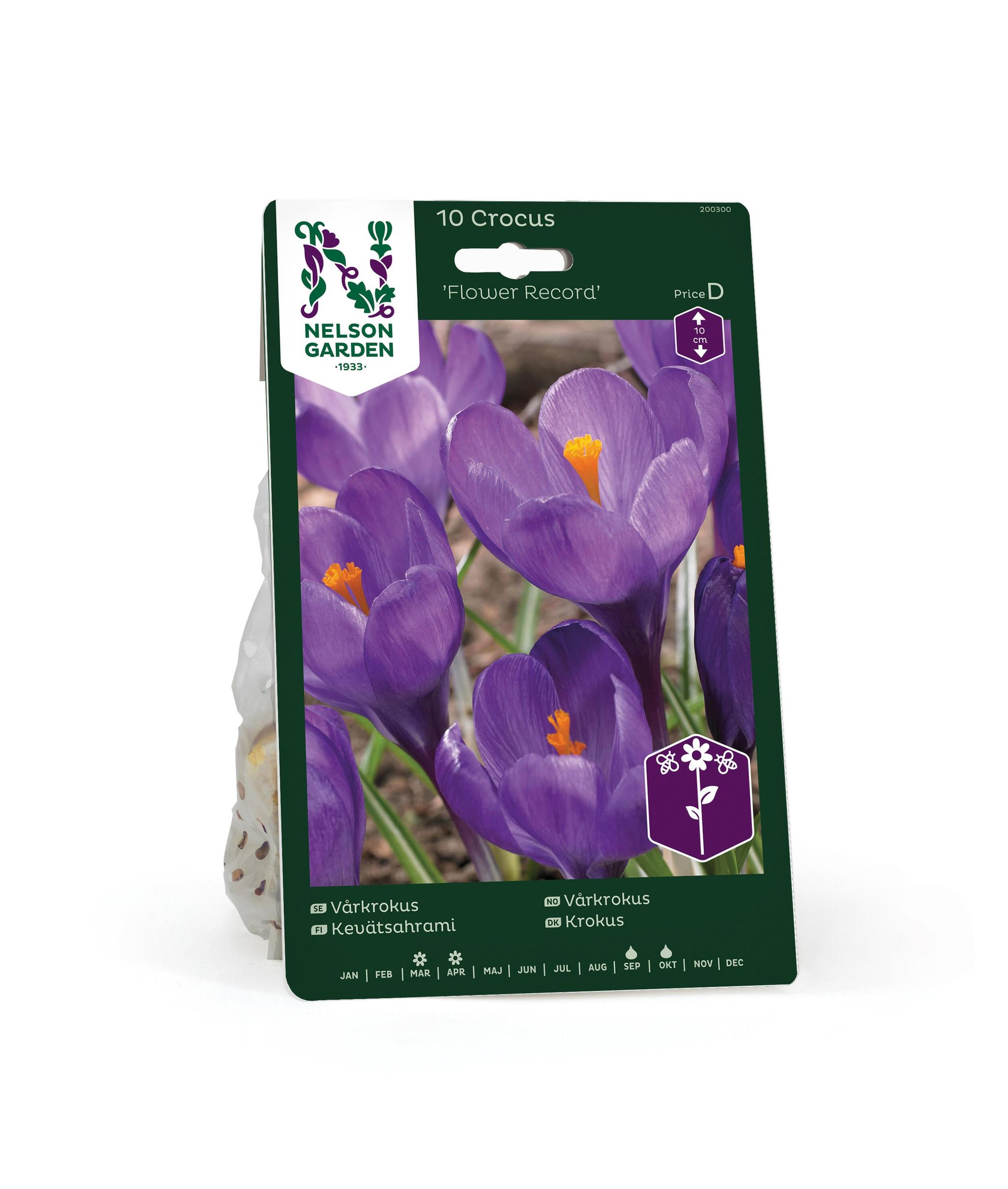 Vårkrokus