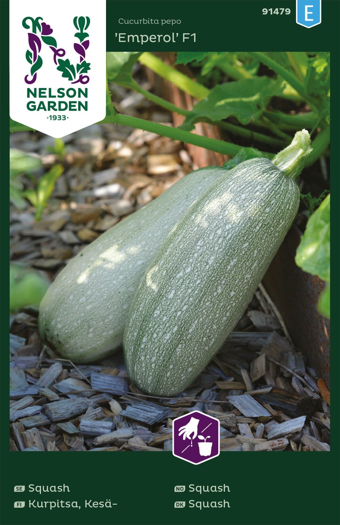 Squash 2