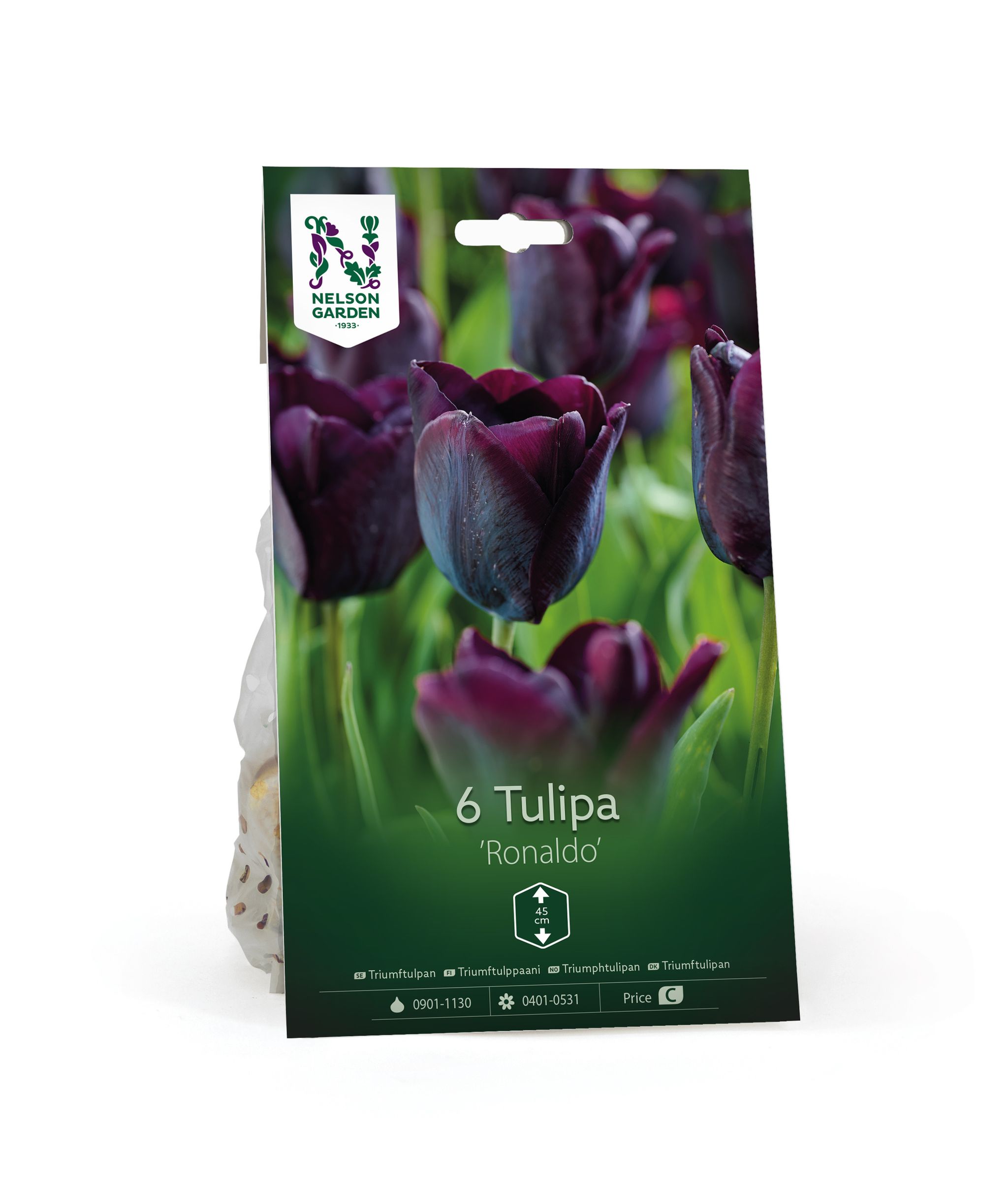 Triumftulppaani