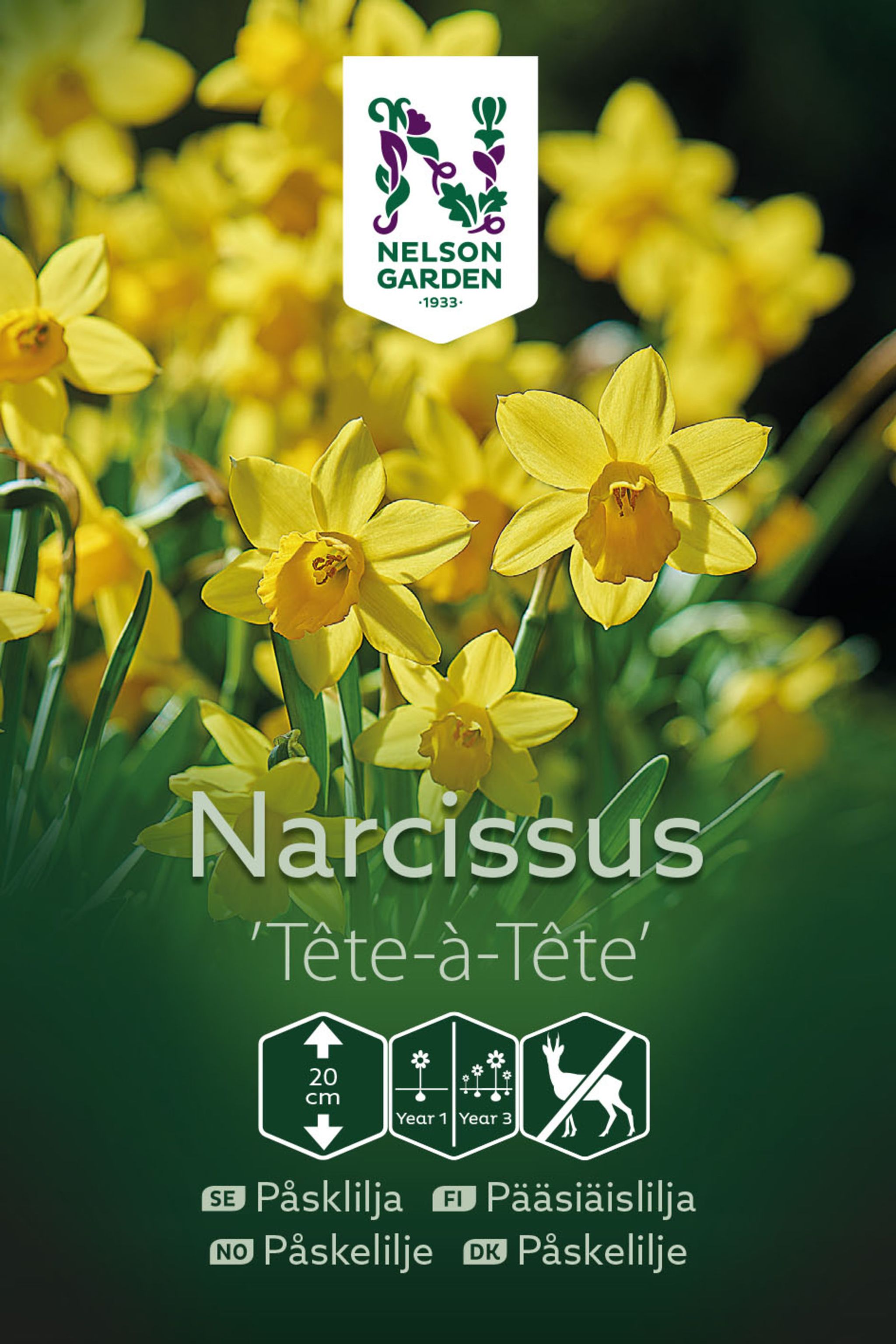 Pääsiäislilja