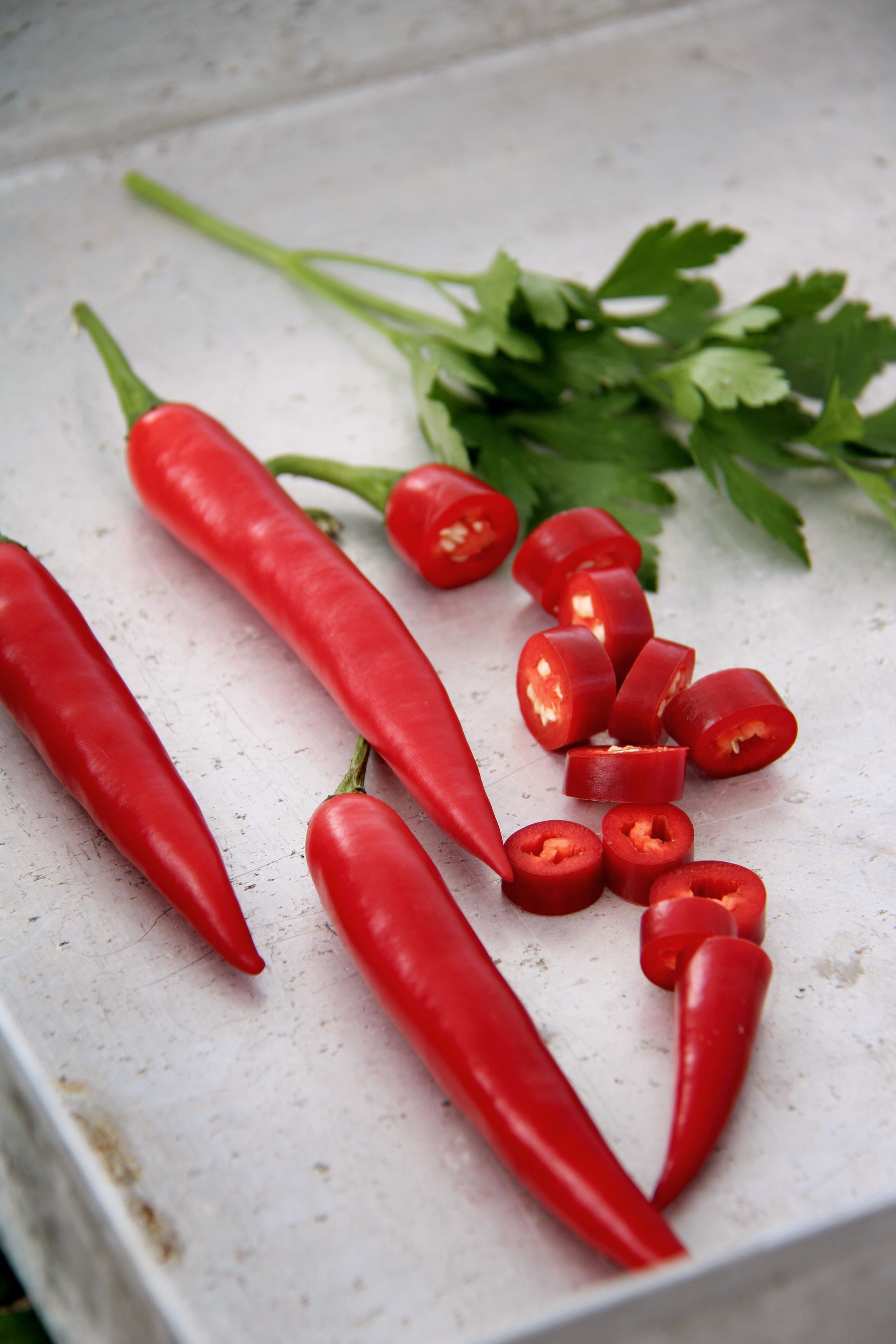 Chilipepper