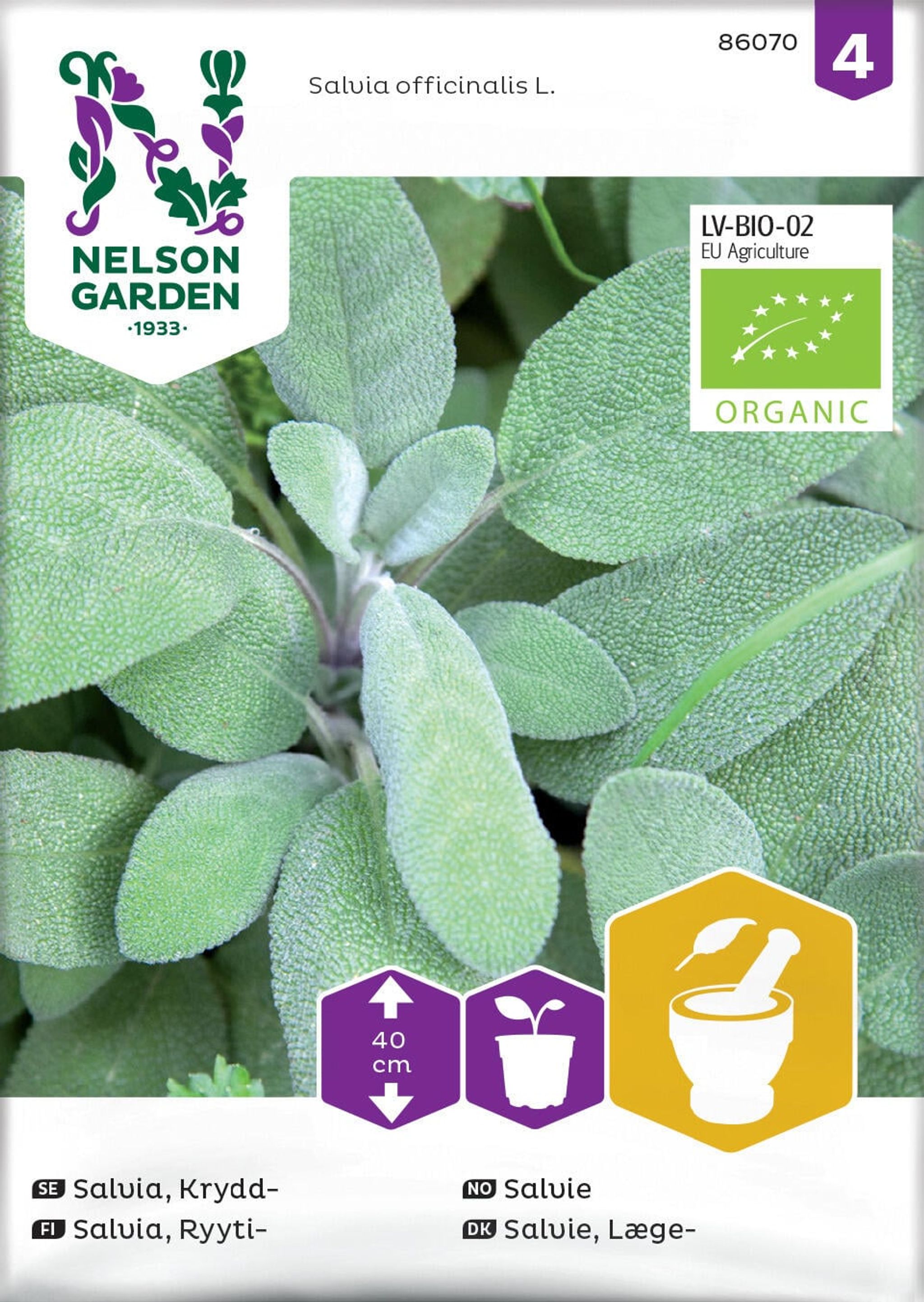 Kryddsalvia
