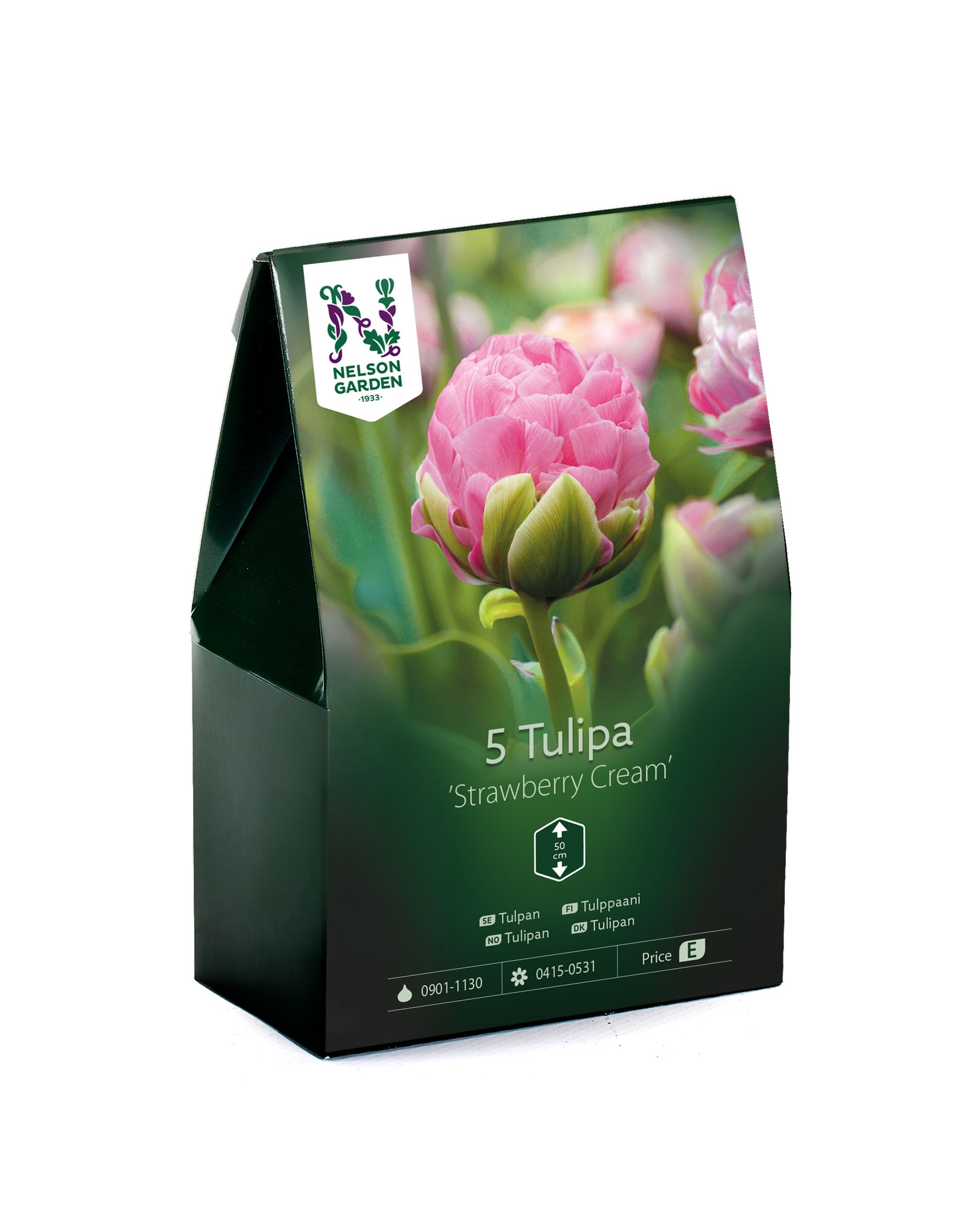 Tulppaani, myöhäinen, aikainen