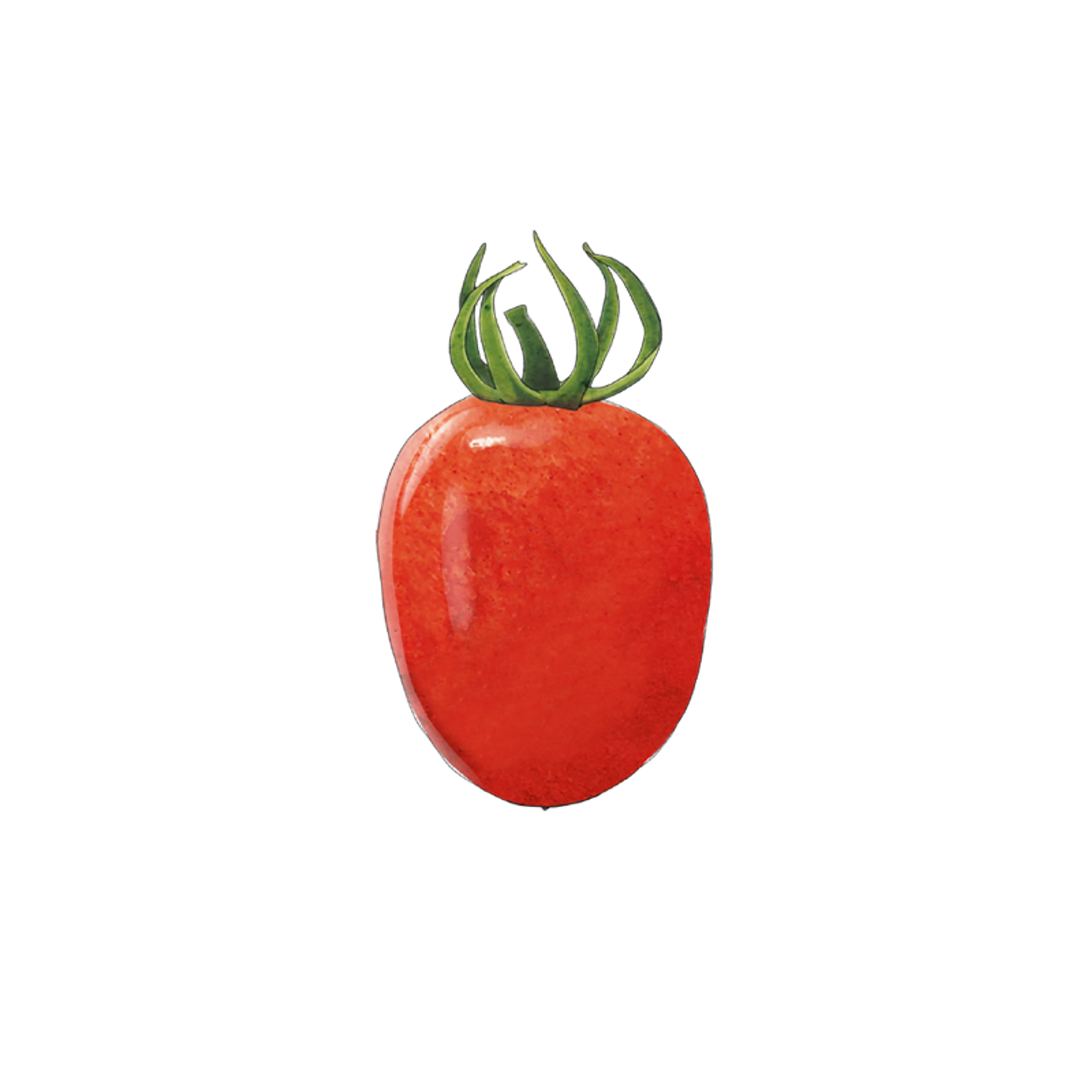 Plommontomater