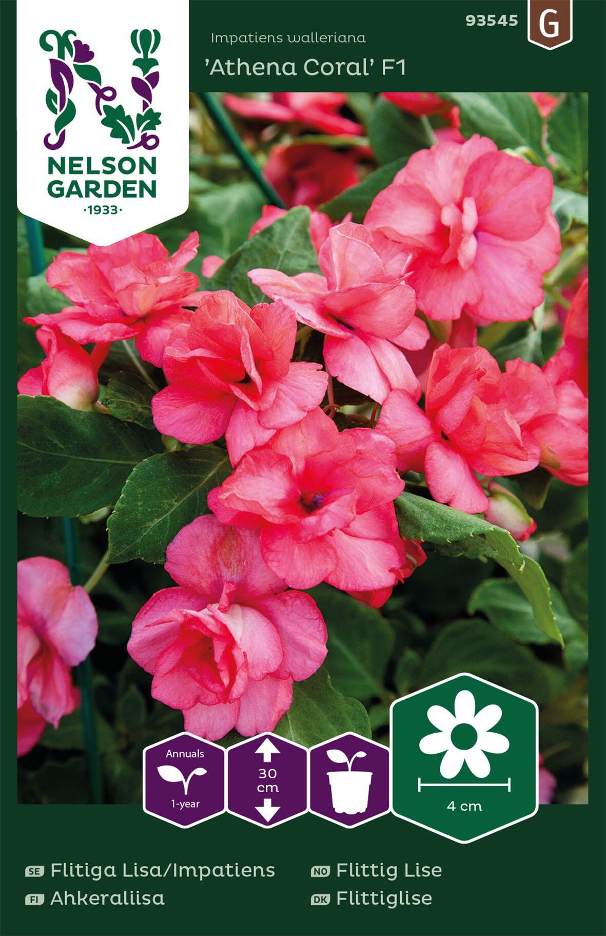 Flitiga Lisa/Impatiens 2