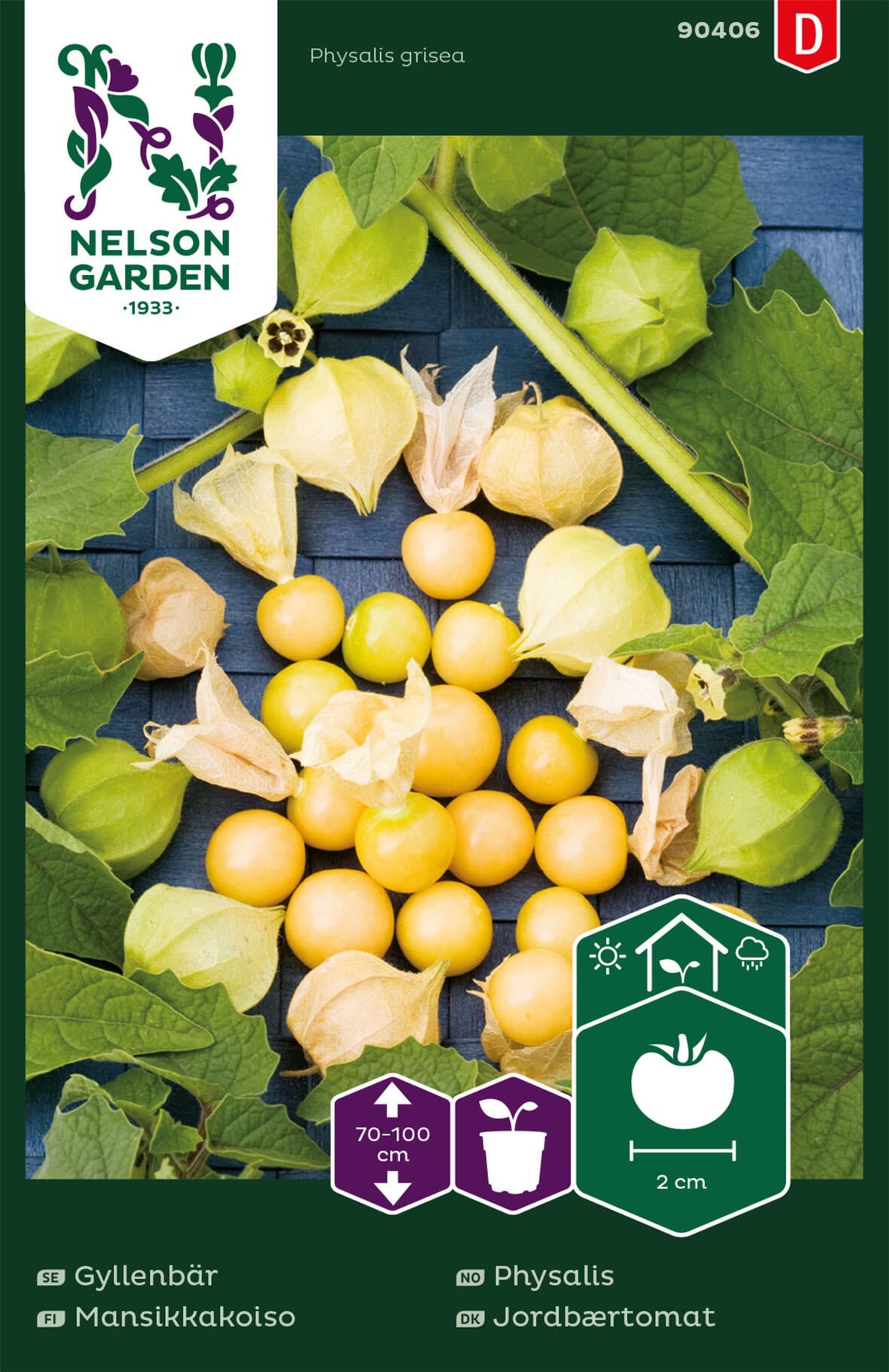 Physalis