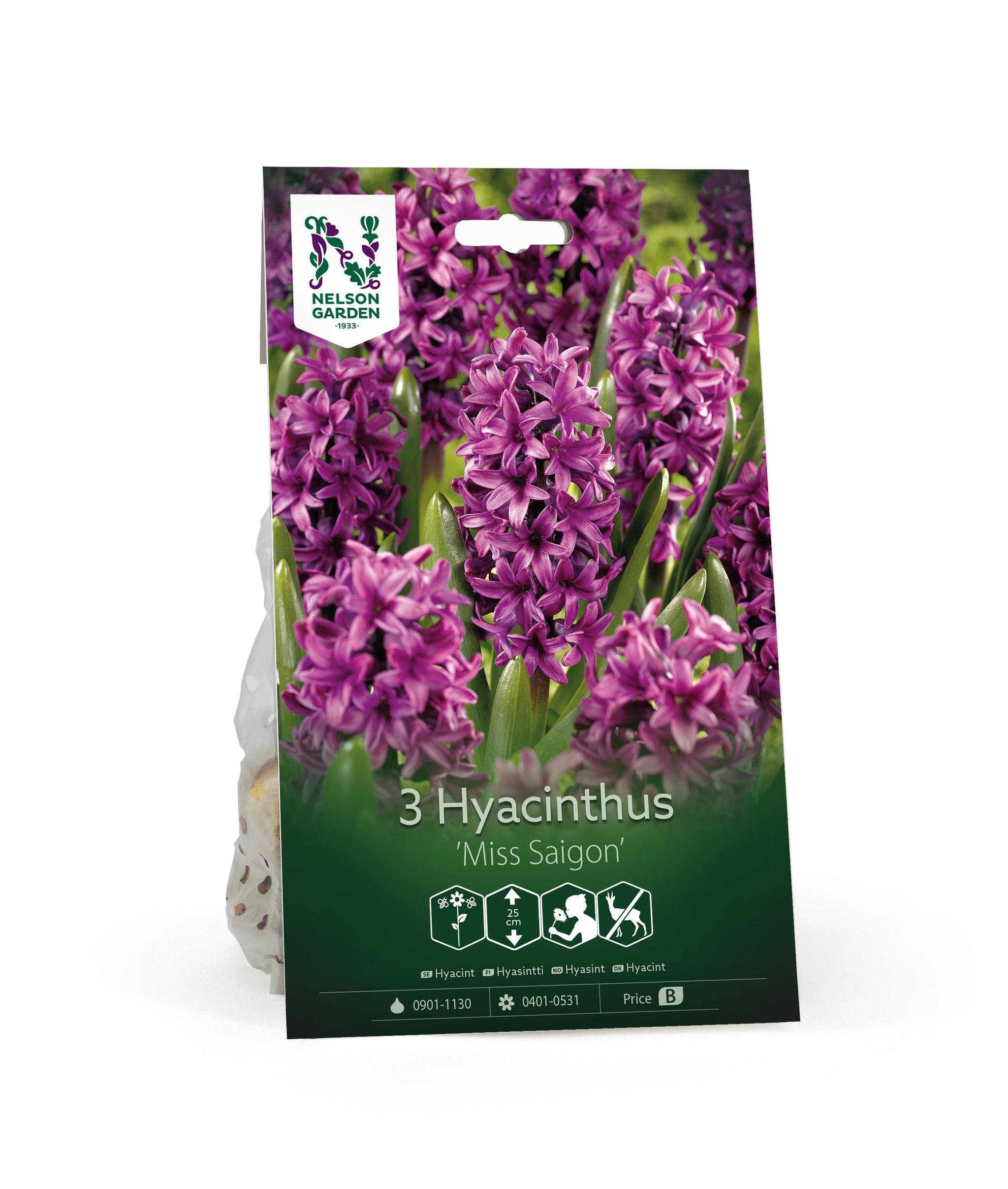 Hyasintti