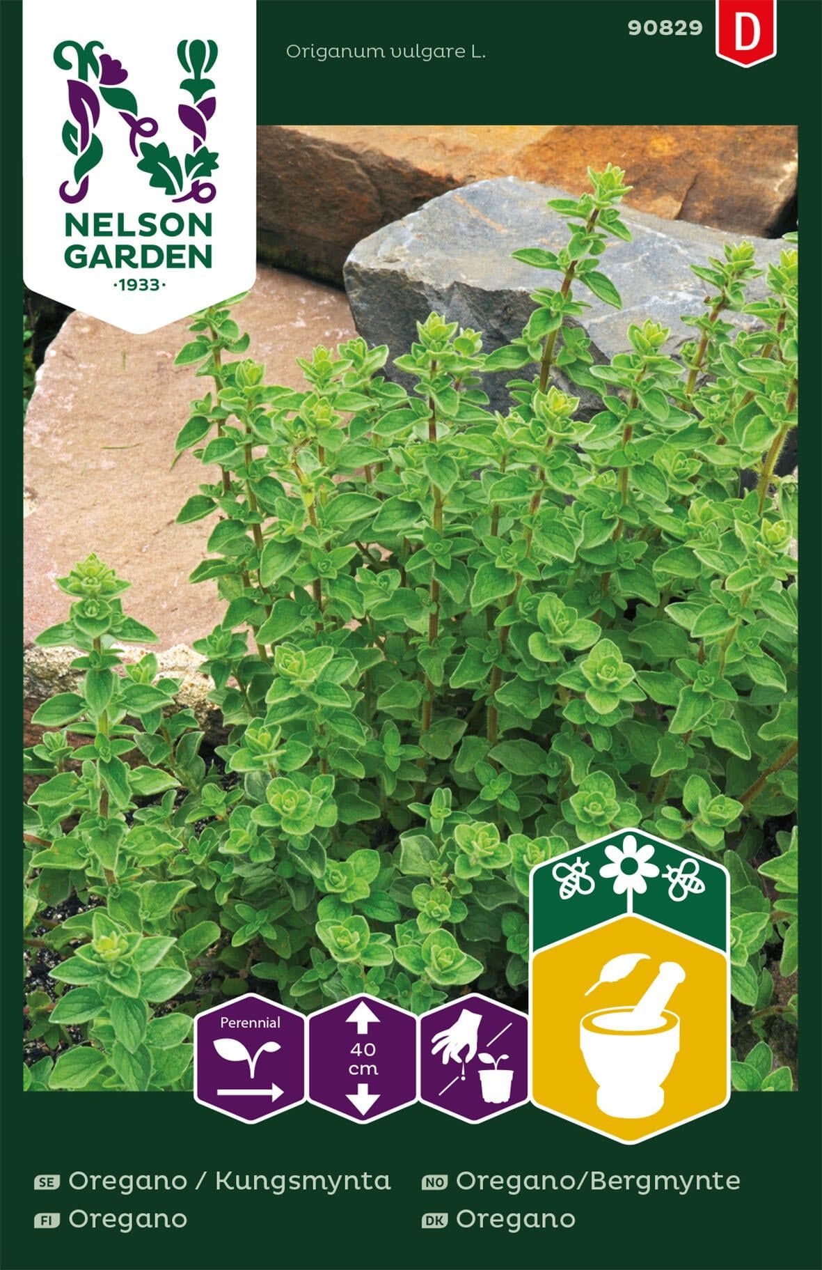 Oregano, Vild merian 2