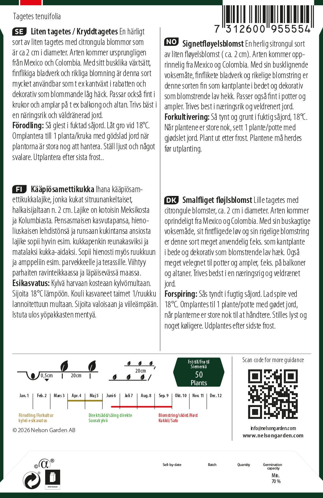 Smalfliget fløjlsblomst 6