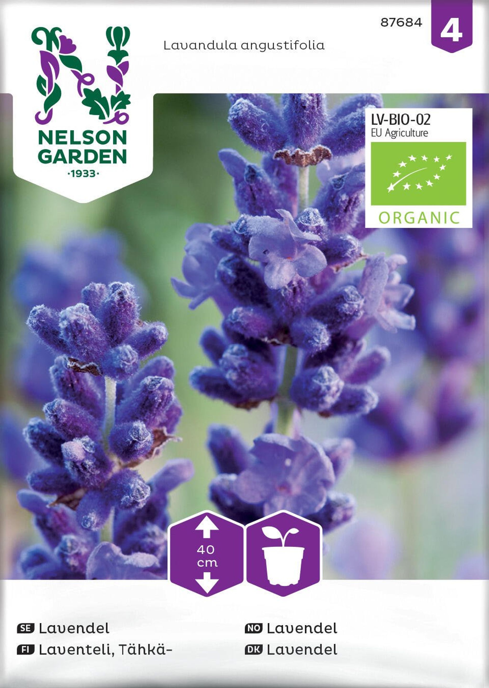 Ægte lavendel