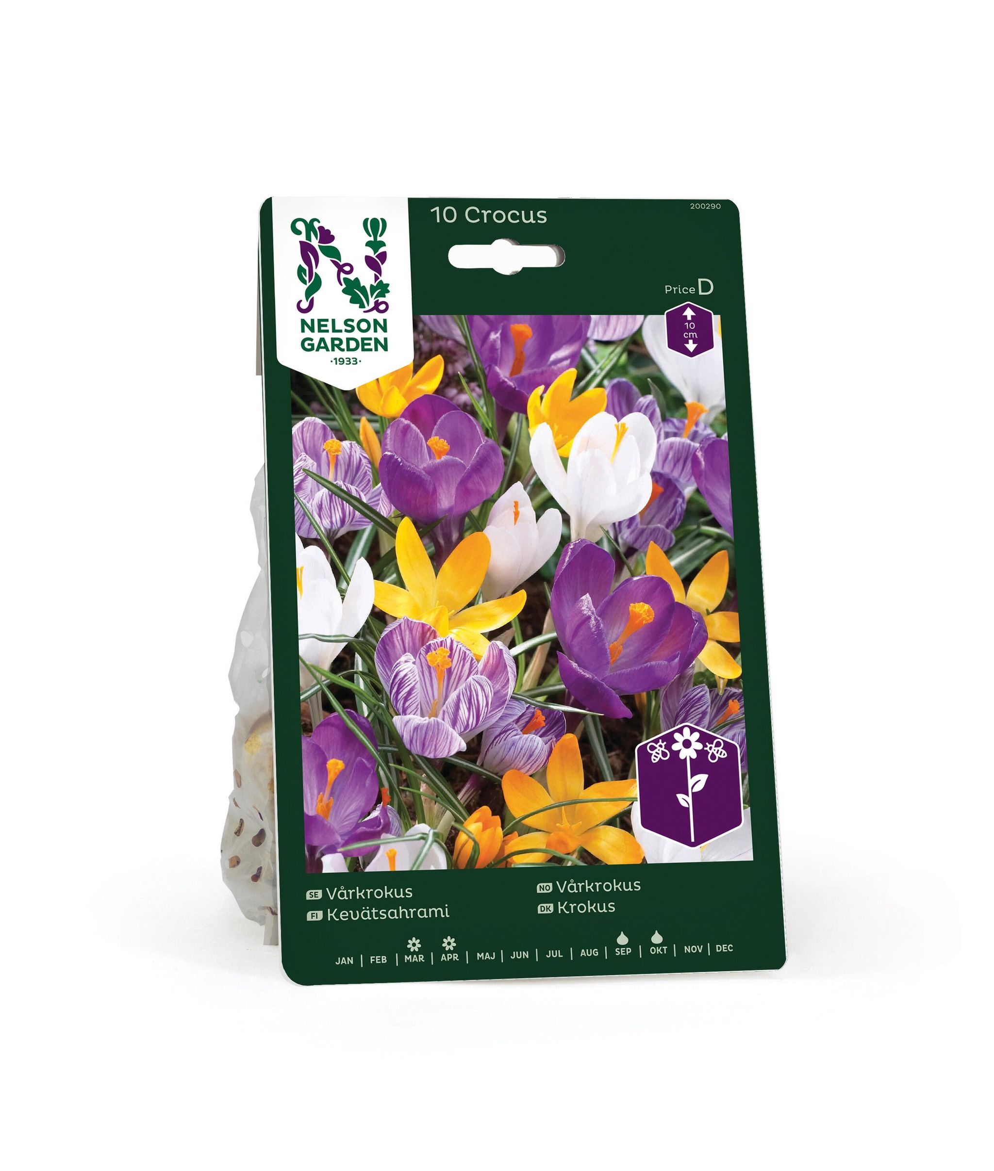 Vårkrokus