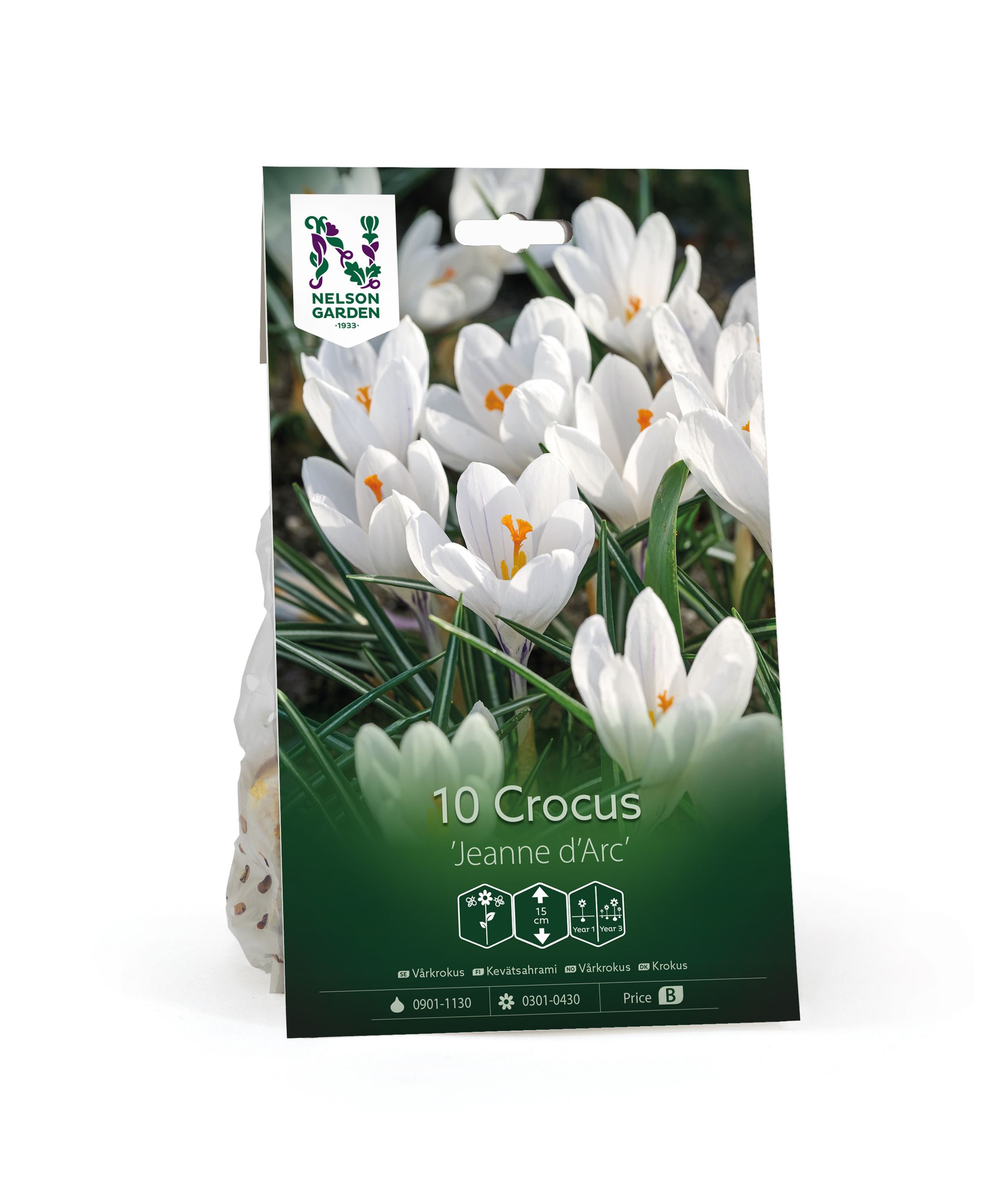 Vårkrokus