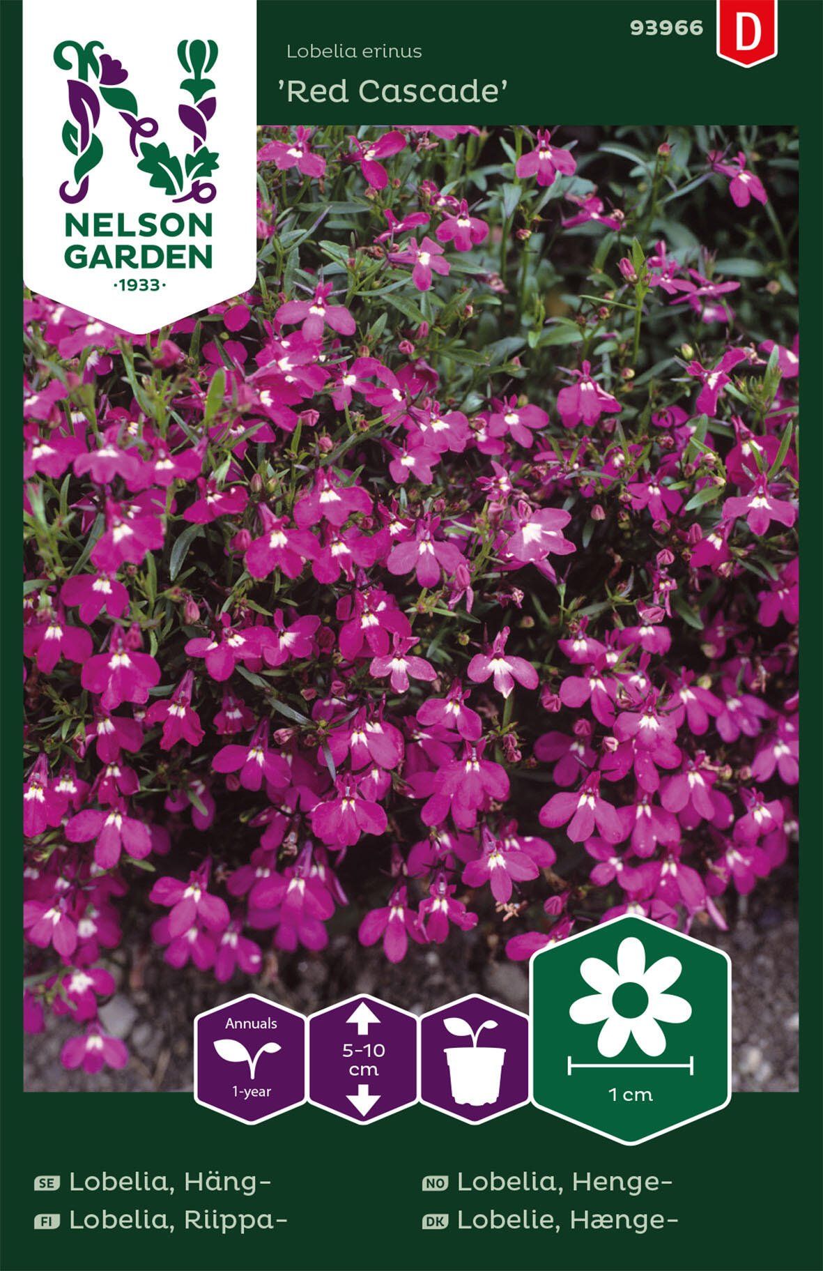 Hänglobelia 1