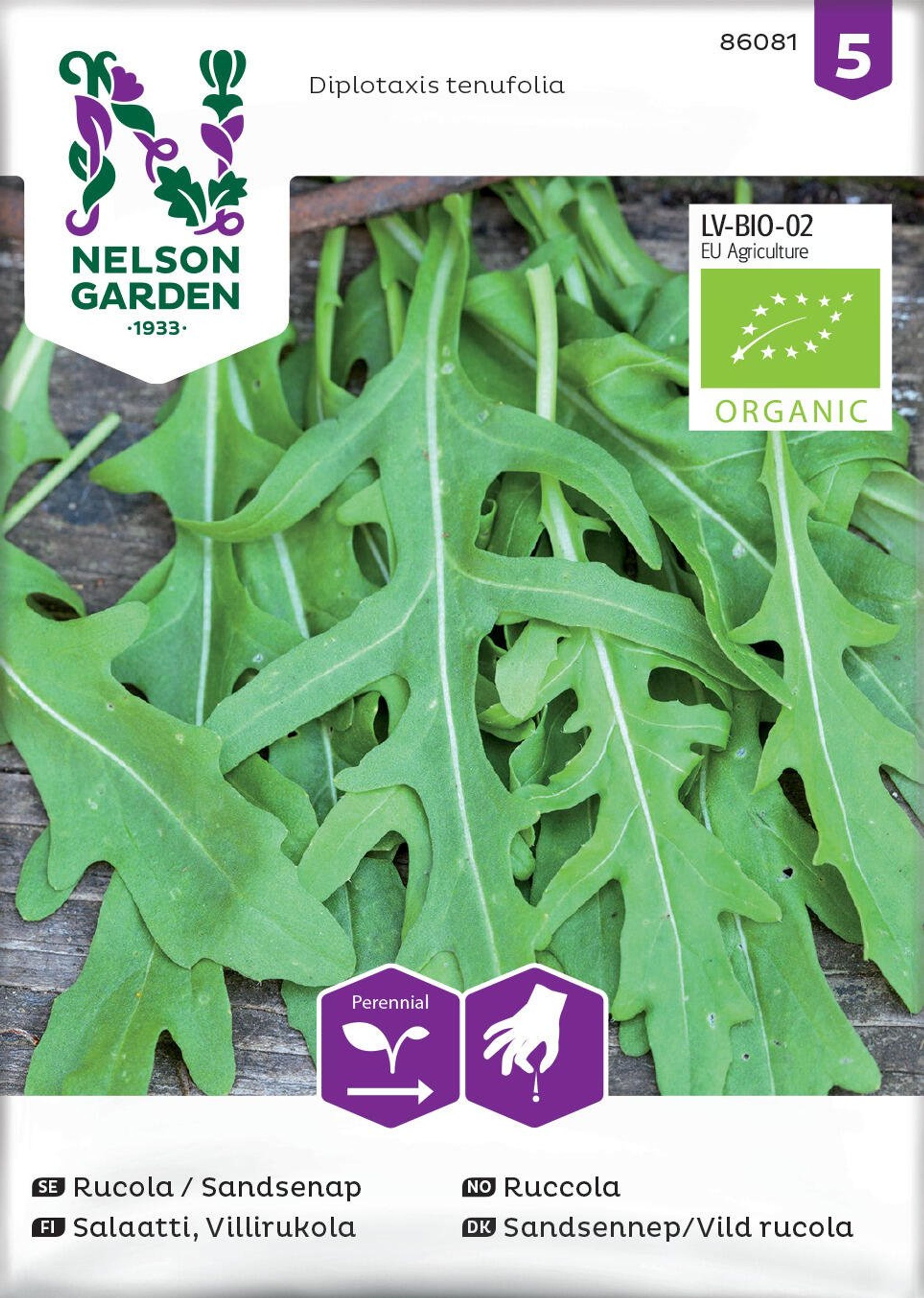 Ruccola