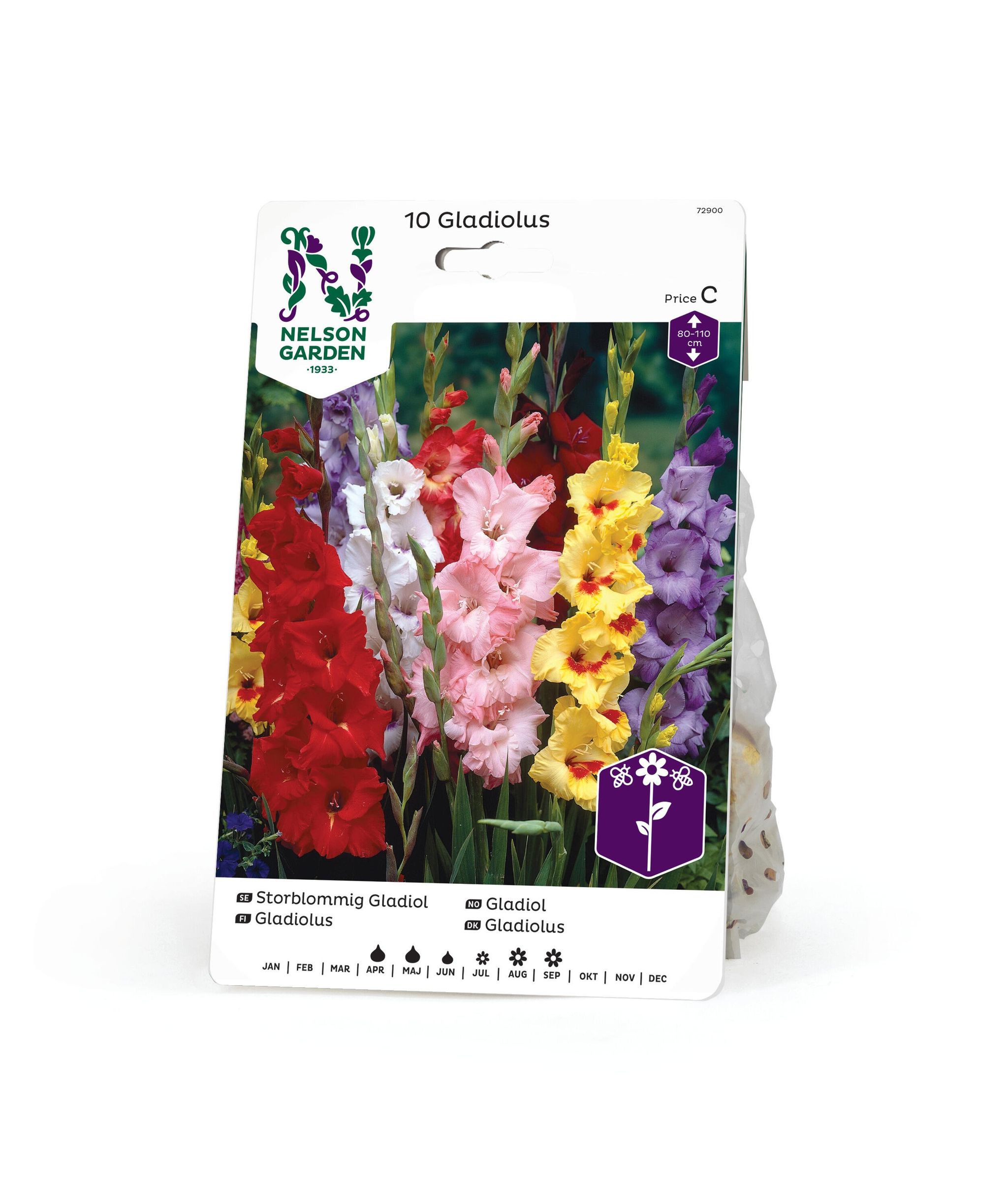 Gladiol
